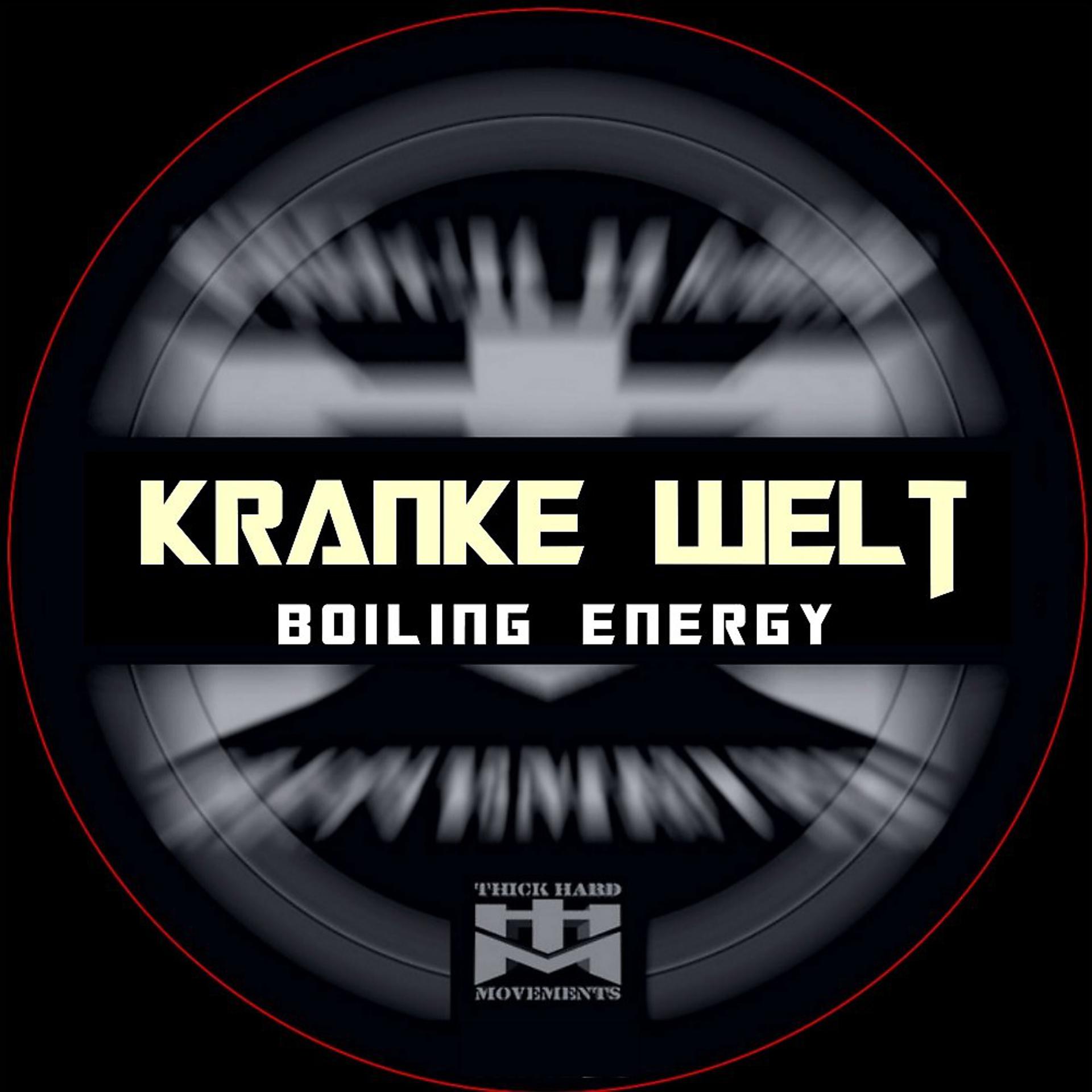 Постер альбома Kranke Welt