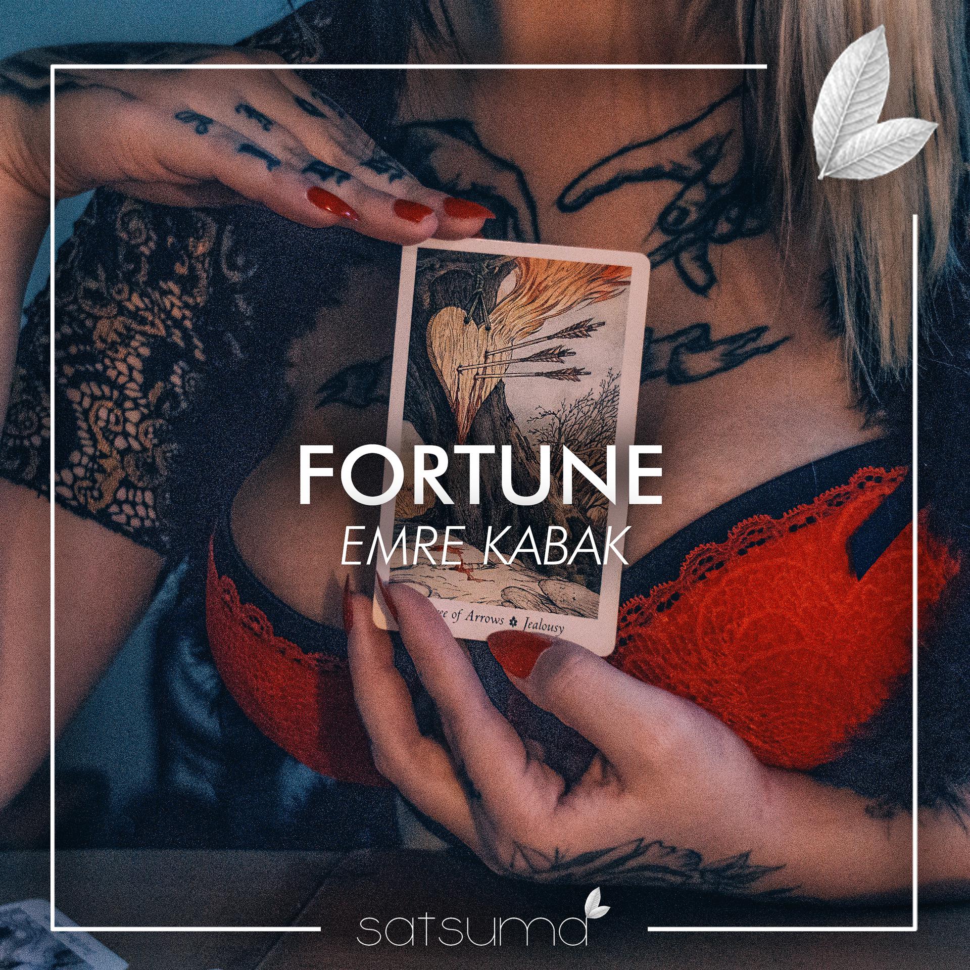 Постер альбома Fortune
