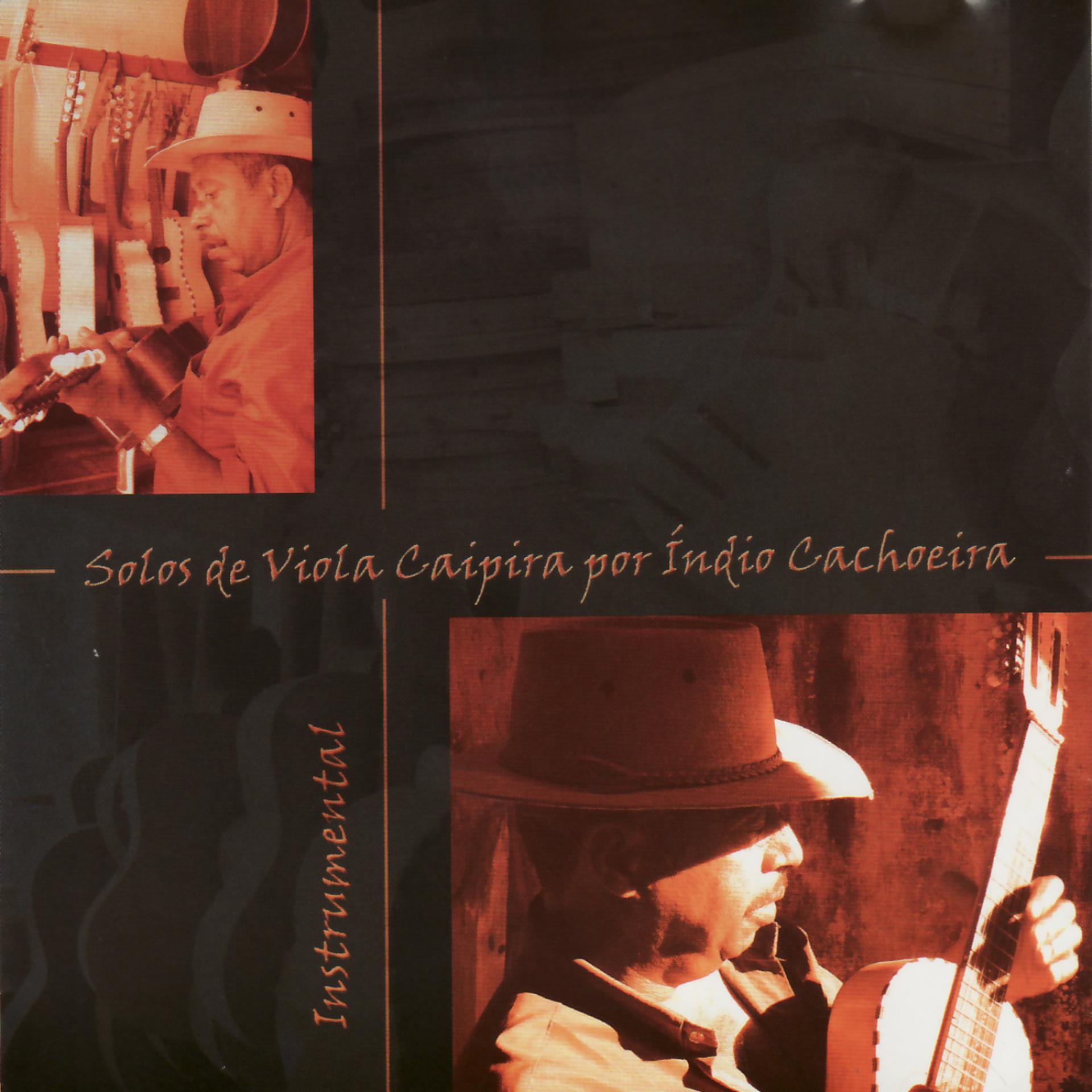Постер альбома Solos de viola caipira por Índio Cachoeira