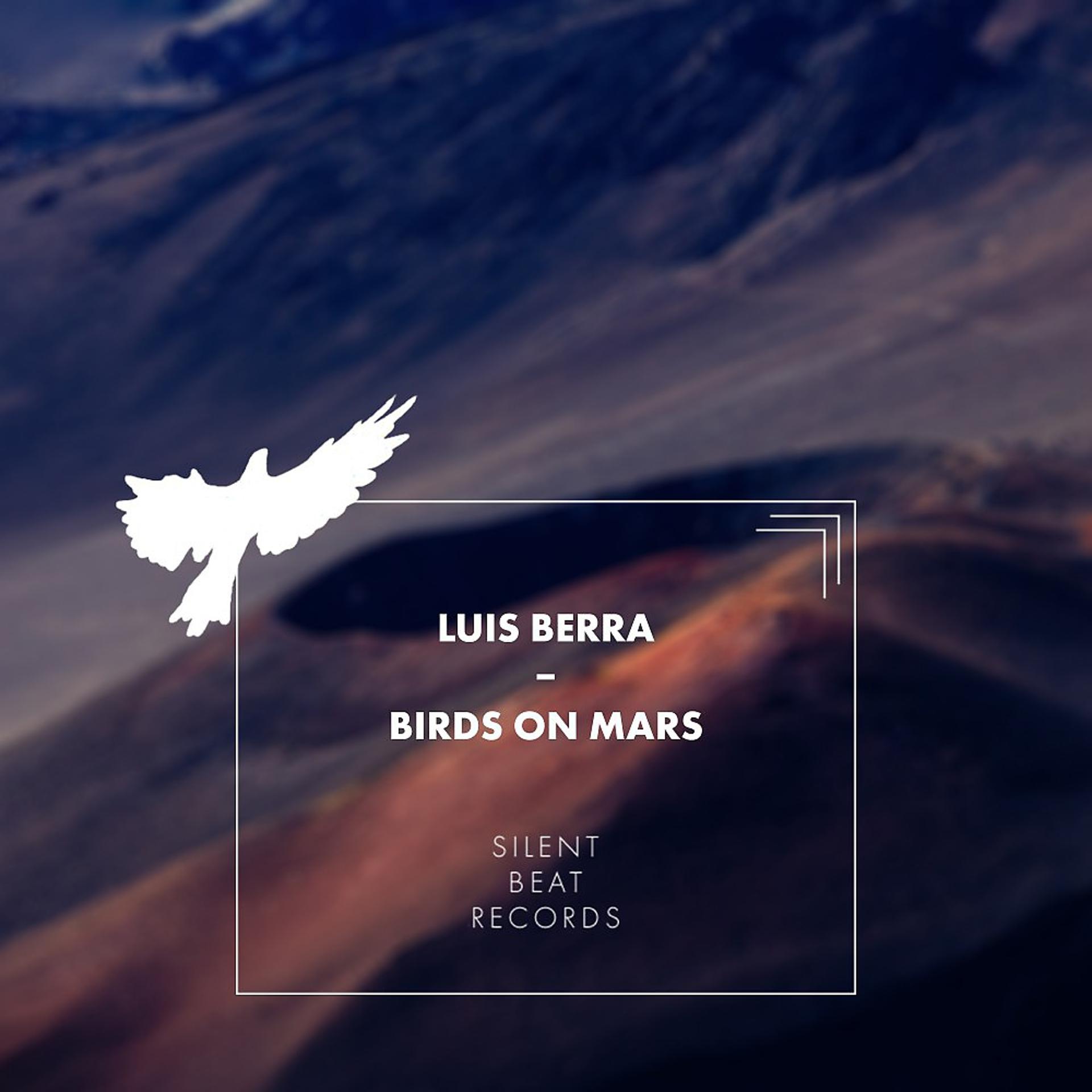 Постер альбома Birds on Mars