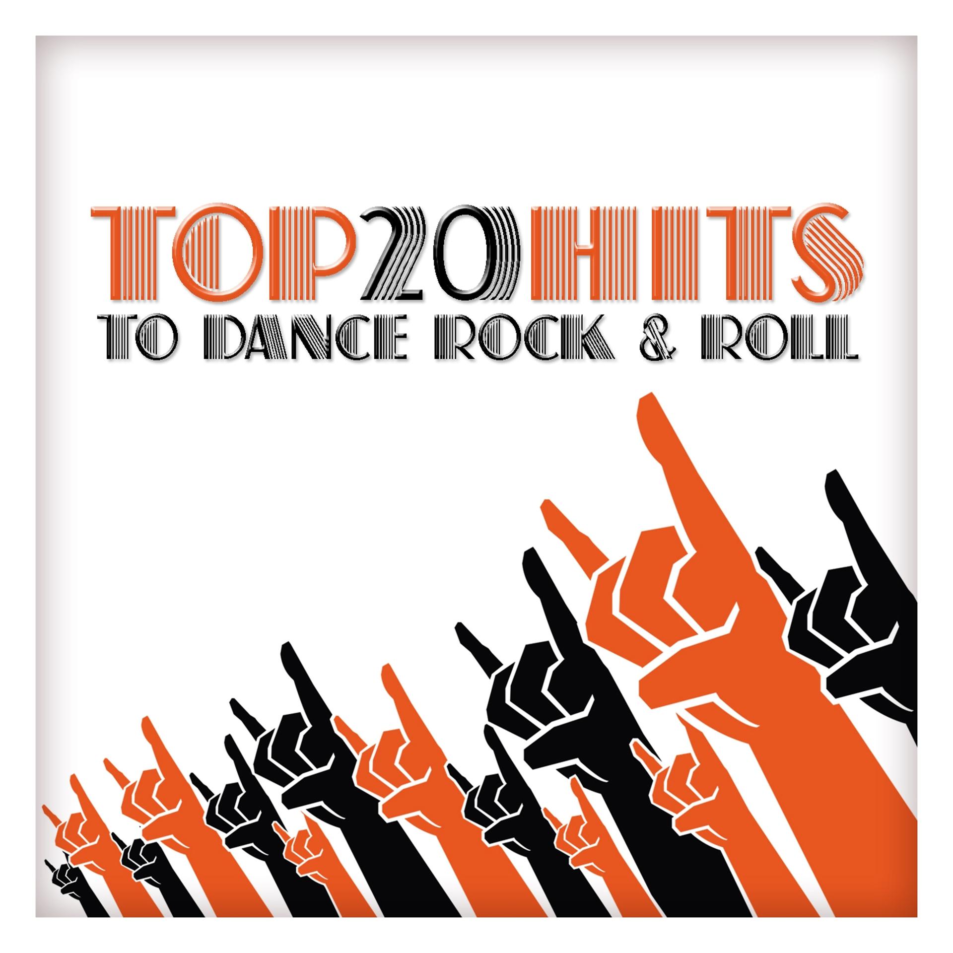 Постер альбома Top 20 Hits to Dance Rock & Roll