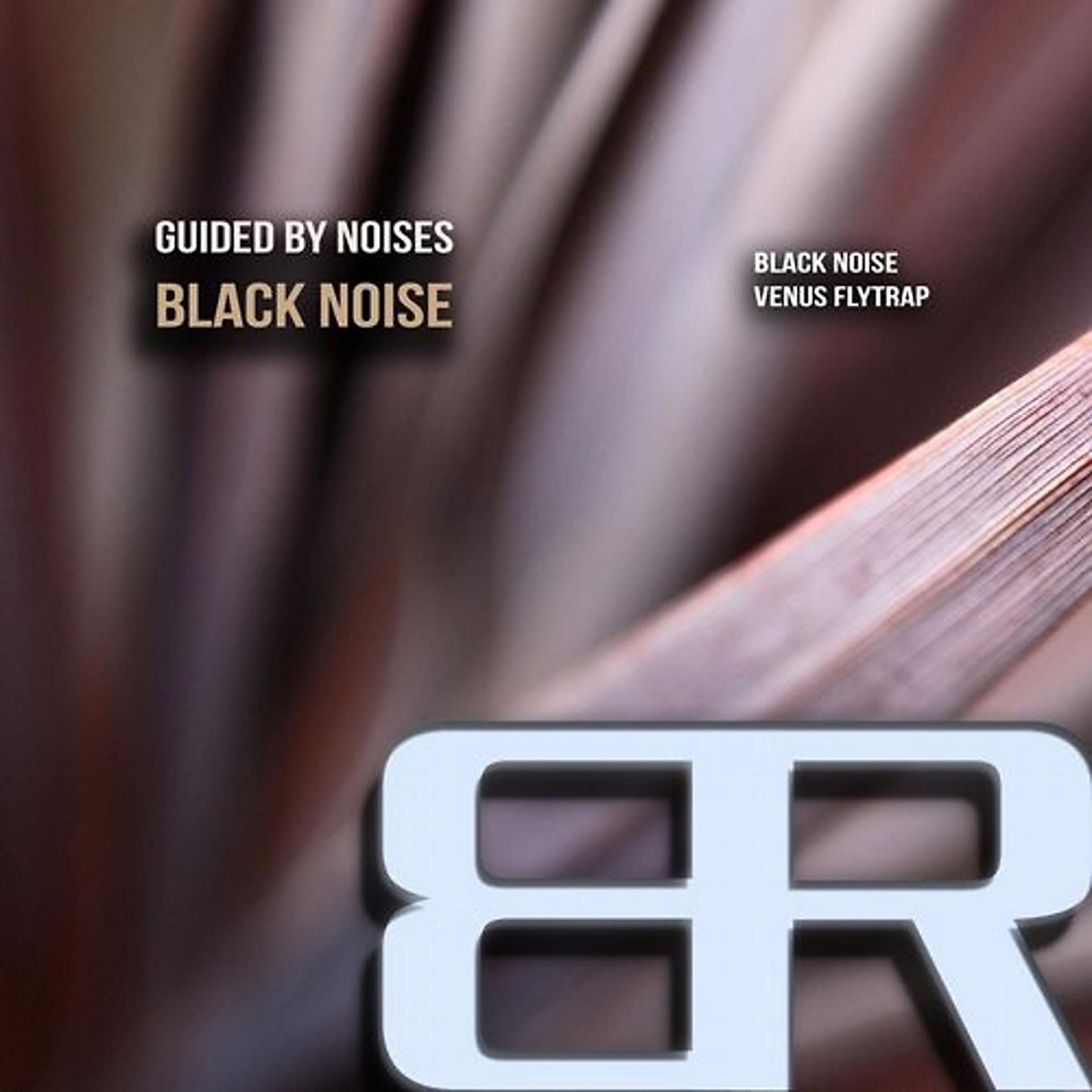 Постер альбома Black Noise