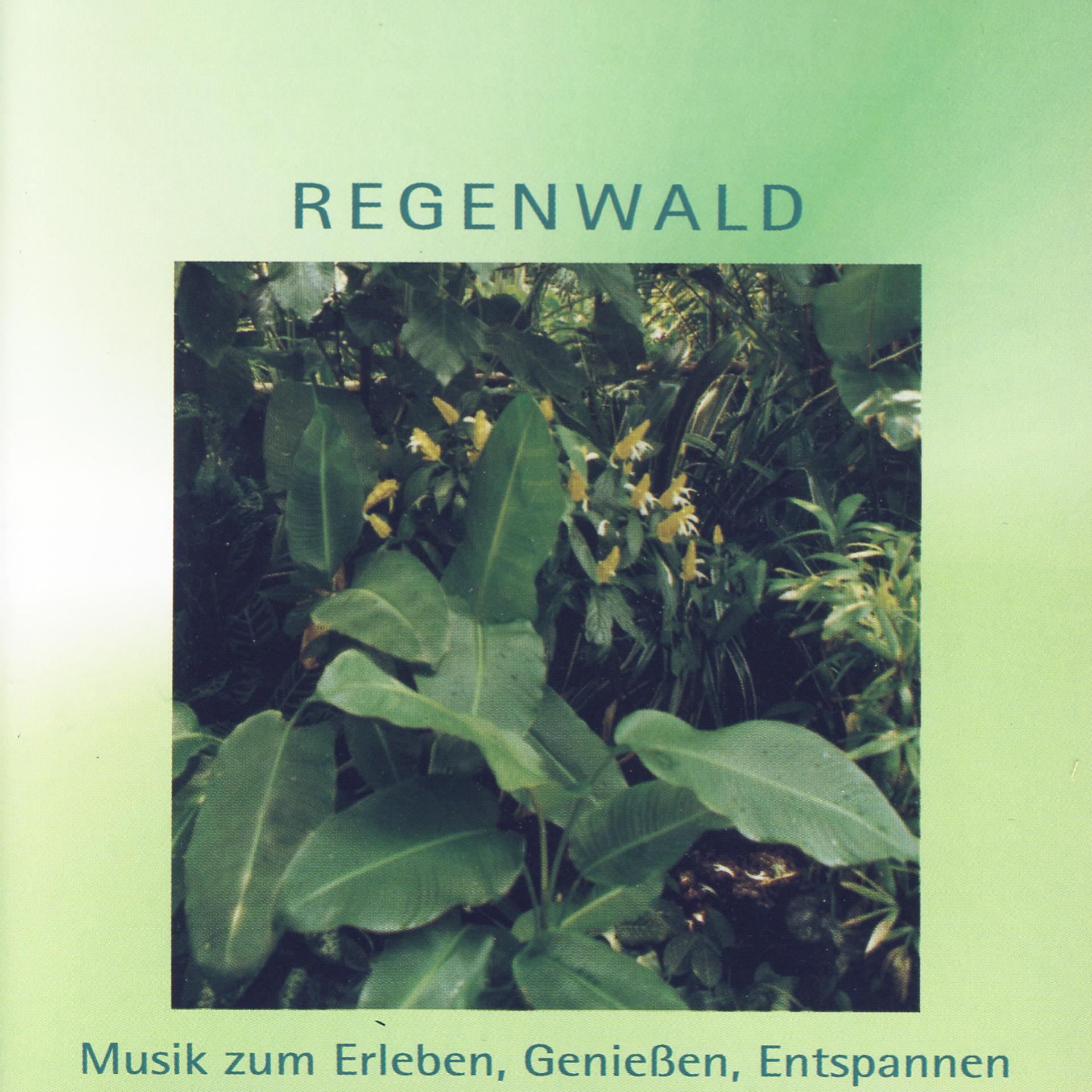 Постер альбома Regenwald