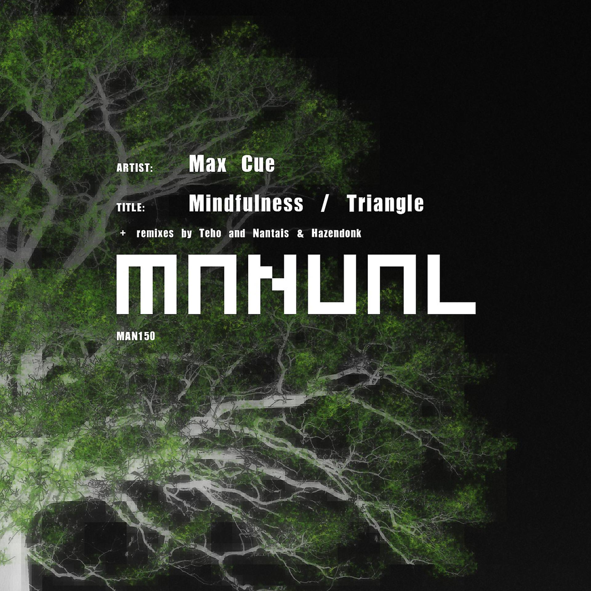 Постер альбома Mindfulness / Triangle