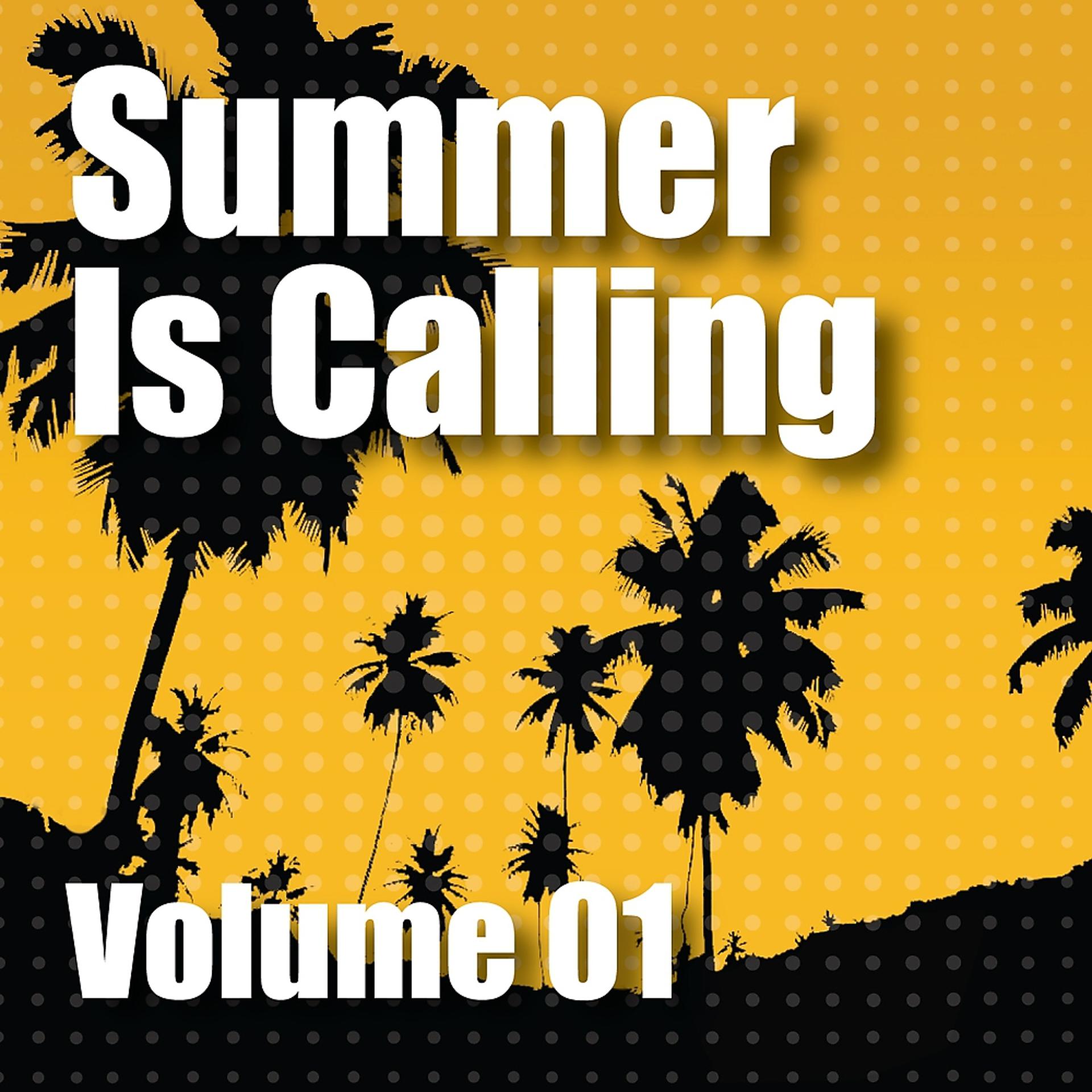 Постер альбома Summer Is Calling Volume 01