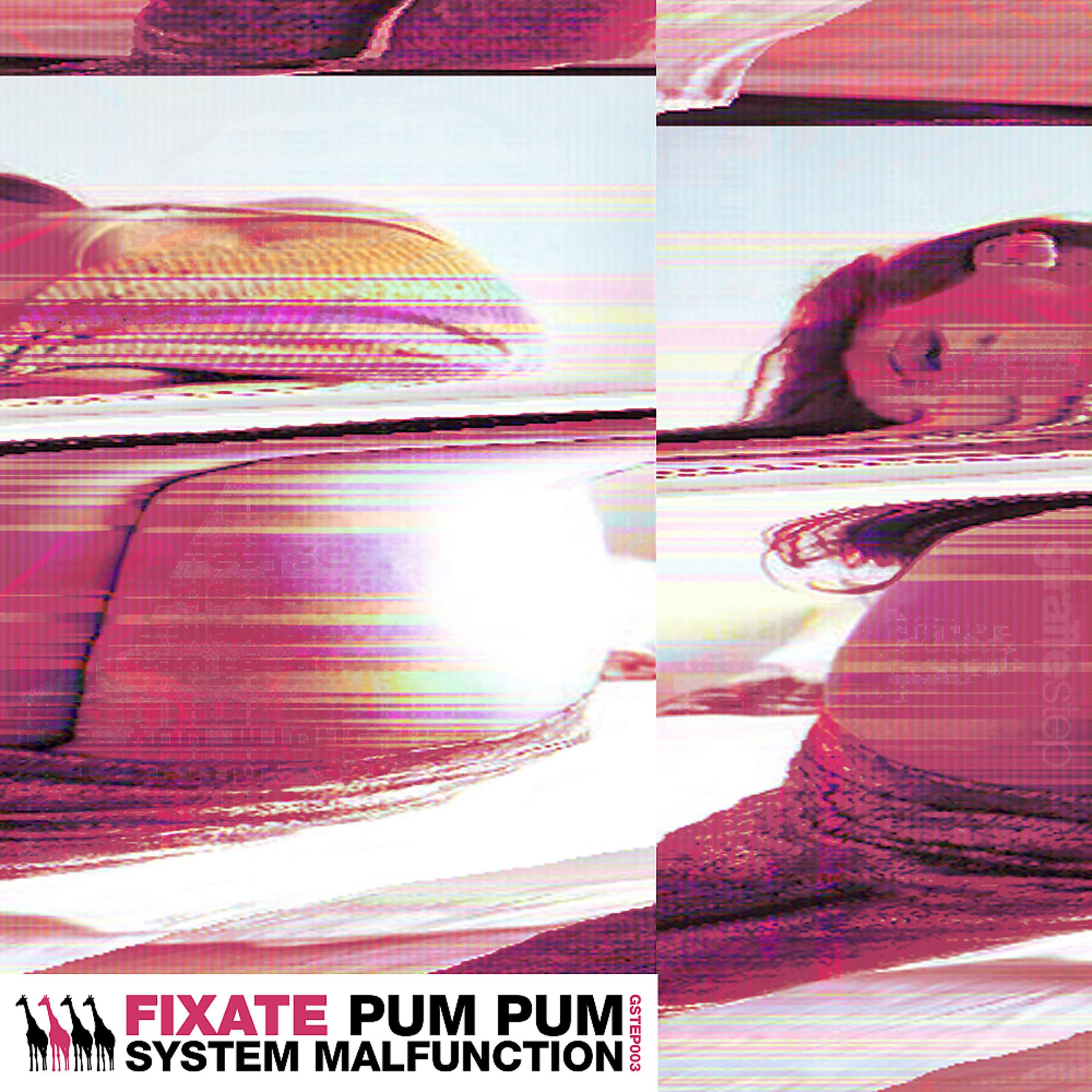 Постер альбома Pum Pum / System Malfunction