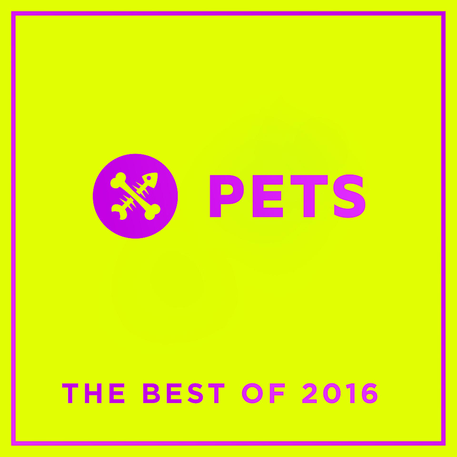 Постер альбома PETS Recordings best of 2016