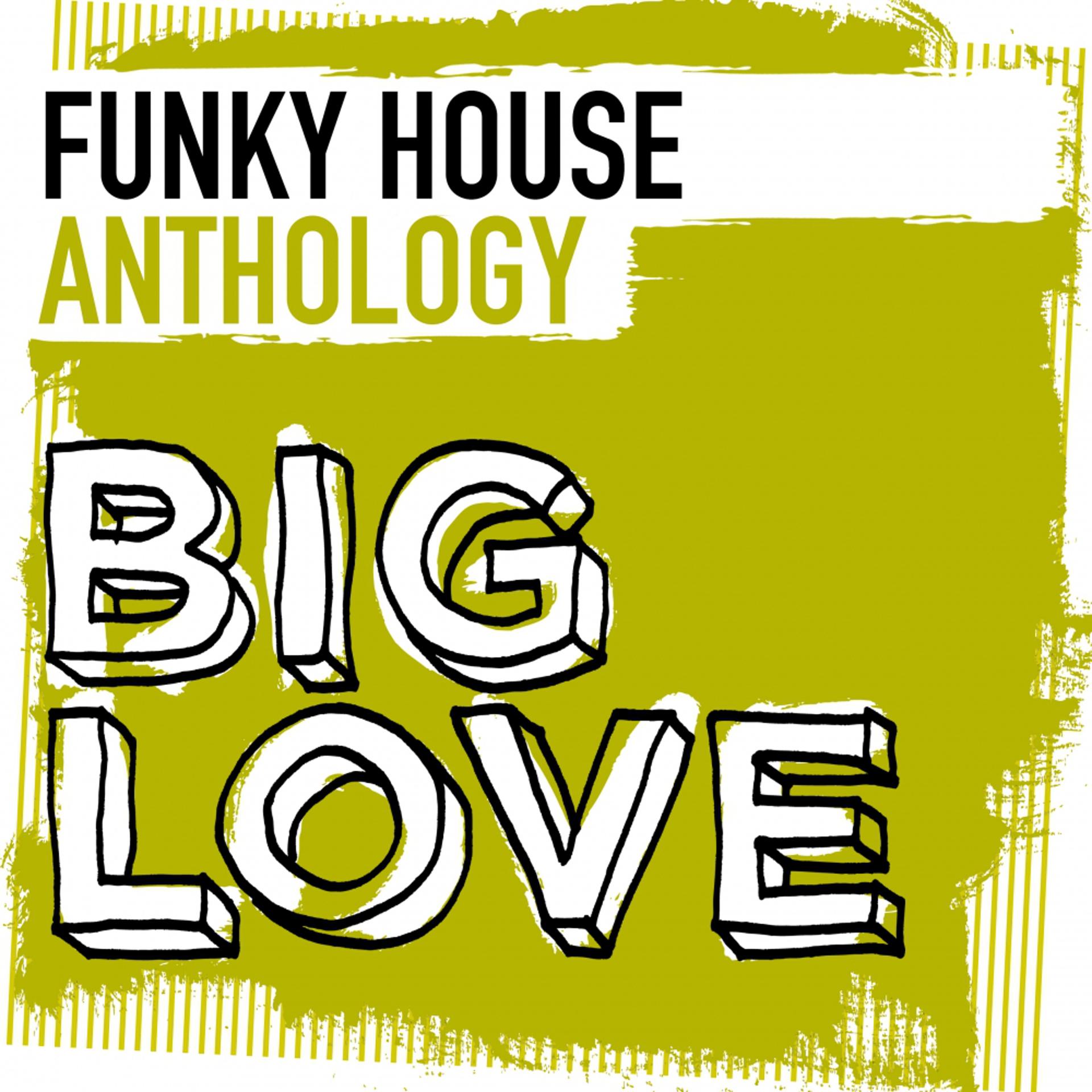 Постер альбома Big Love Funky House Anthology