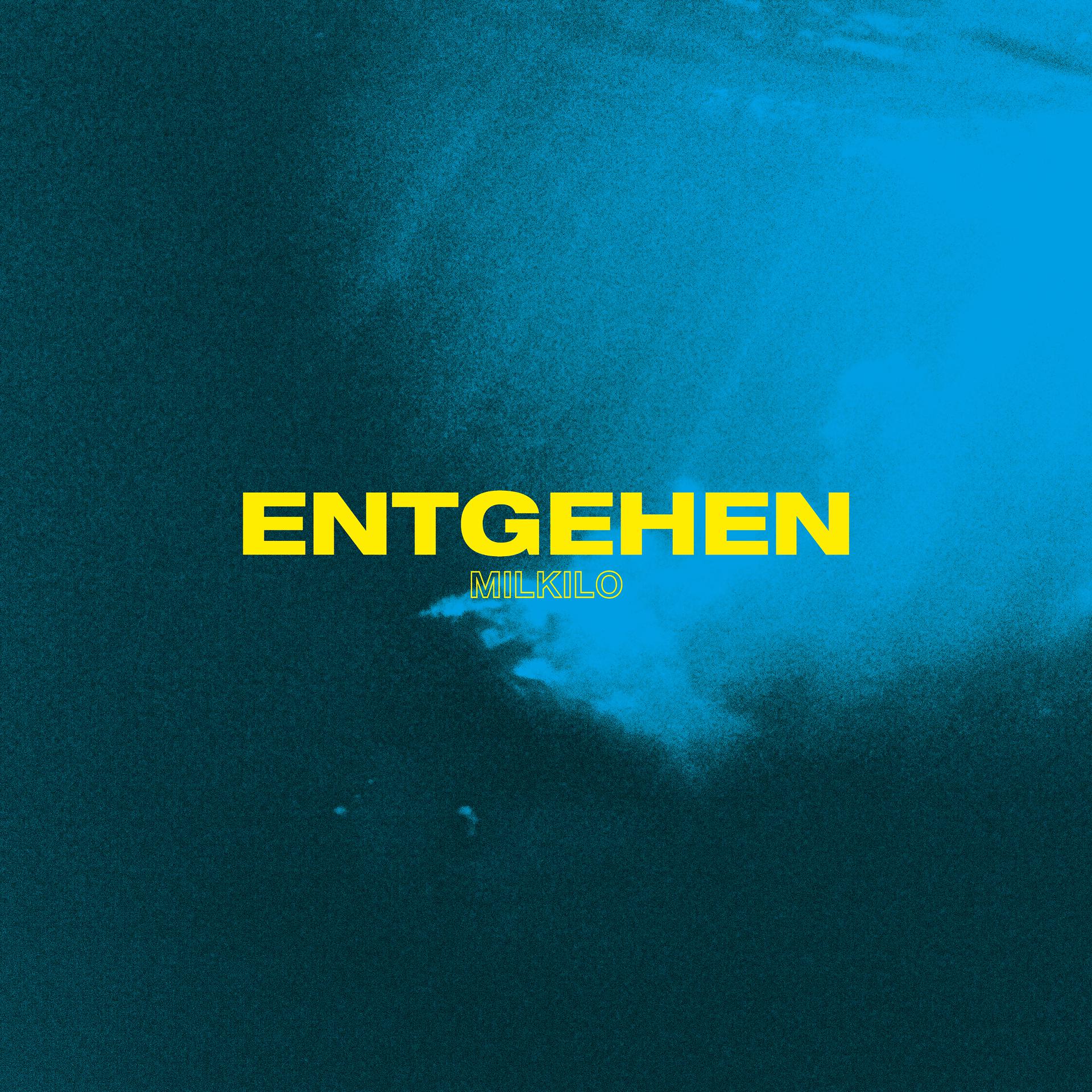 Постер альбома Entgehen