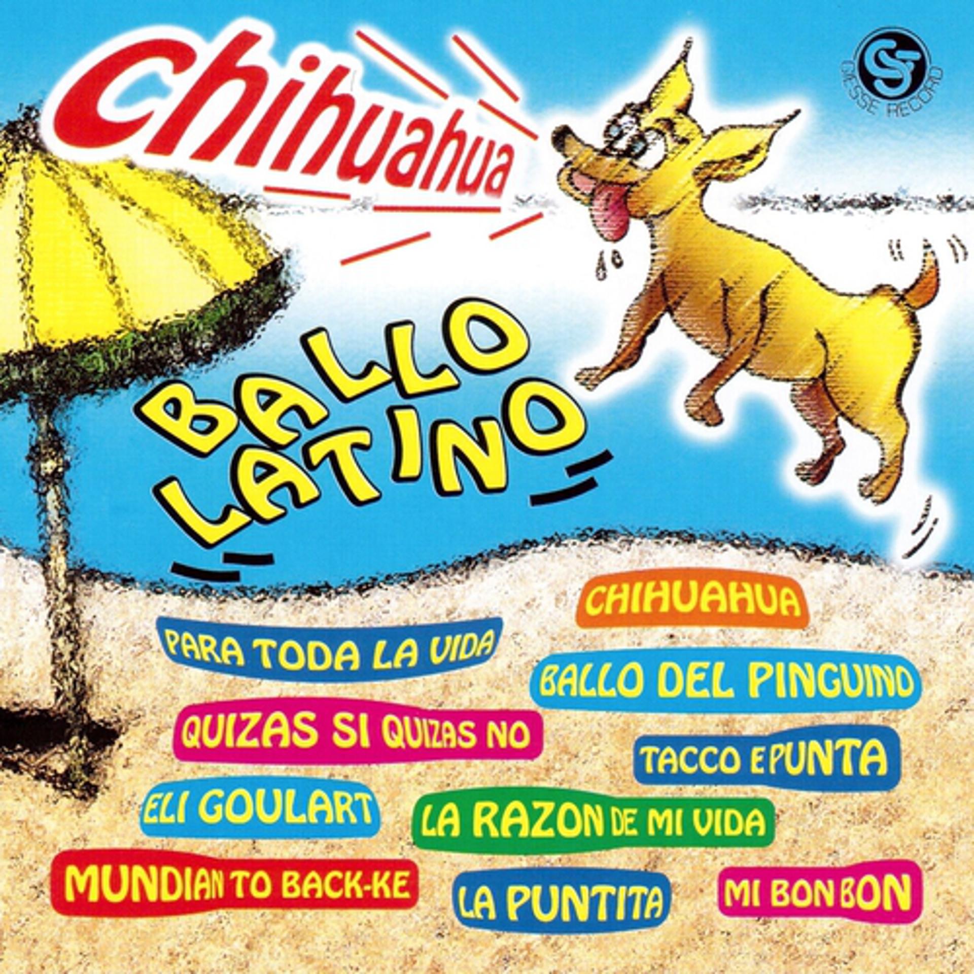 Постер альбома Chihuahua ballo latino
