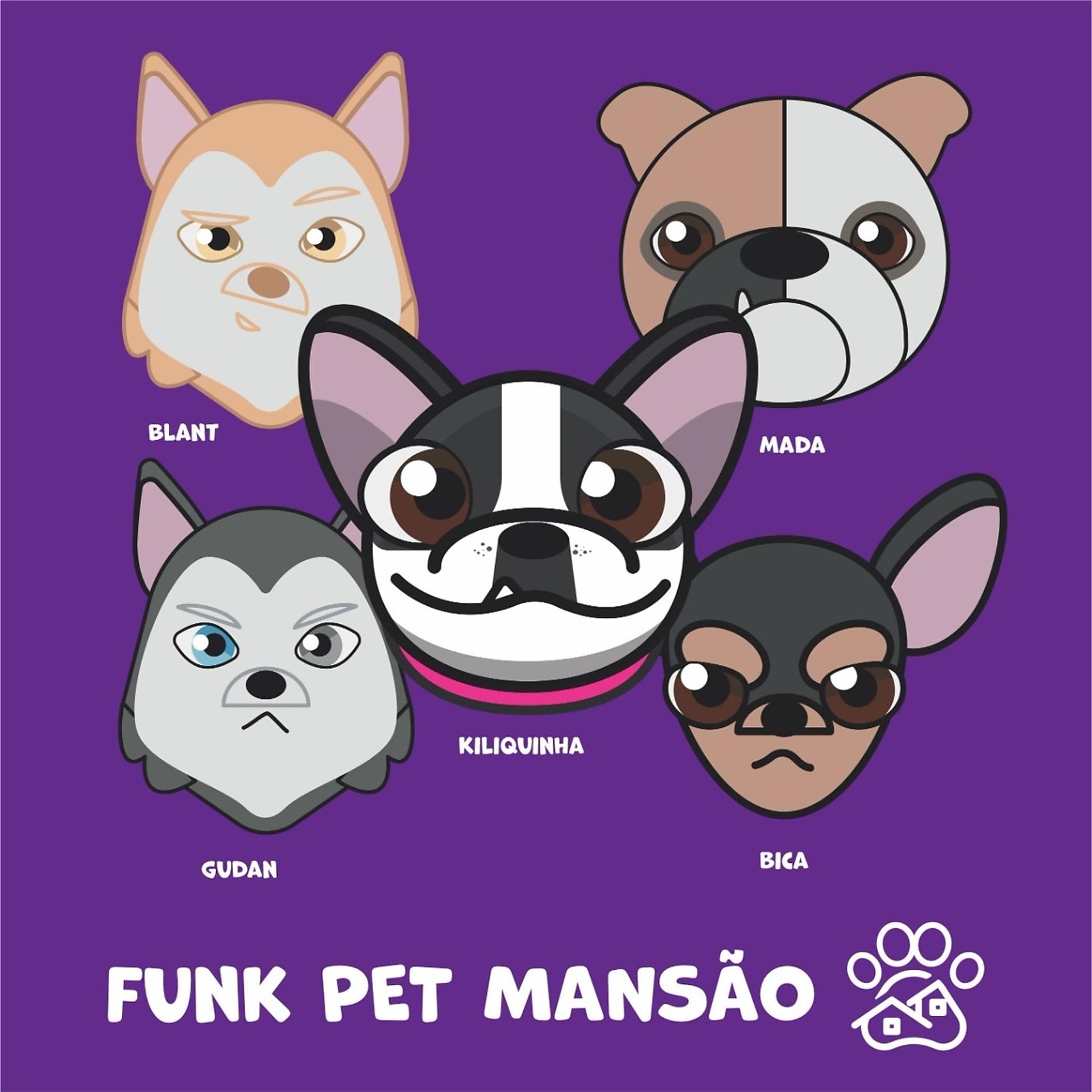 Постер альбома Funk Pet Mansão