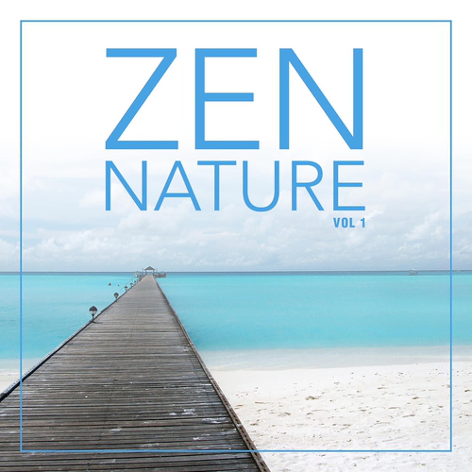 Постер альбома Zen Nature (Vol. 1)