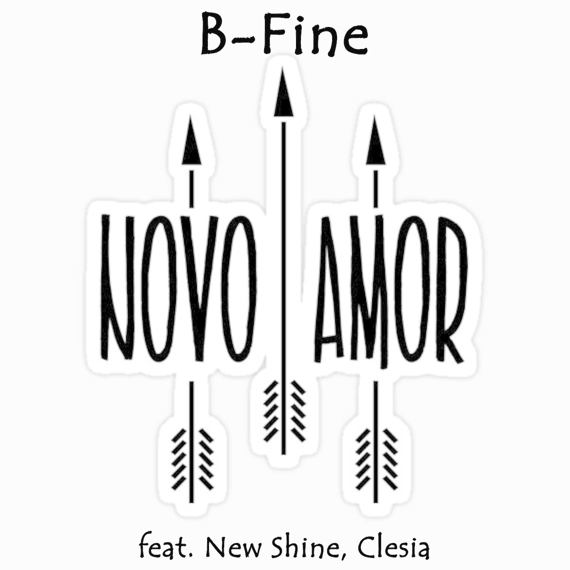 Постер альбома Novo Amor