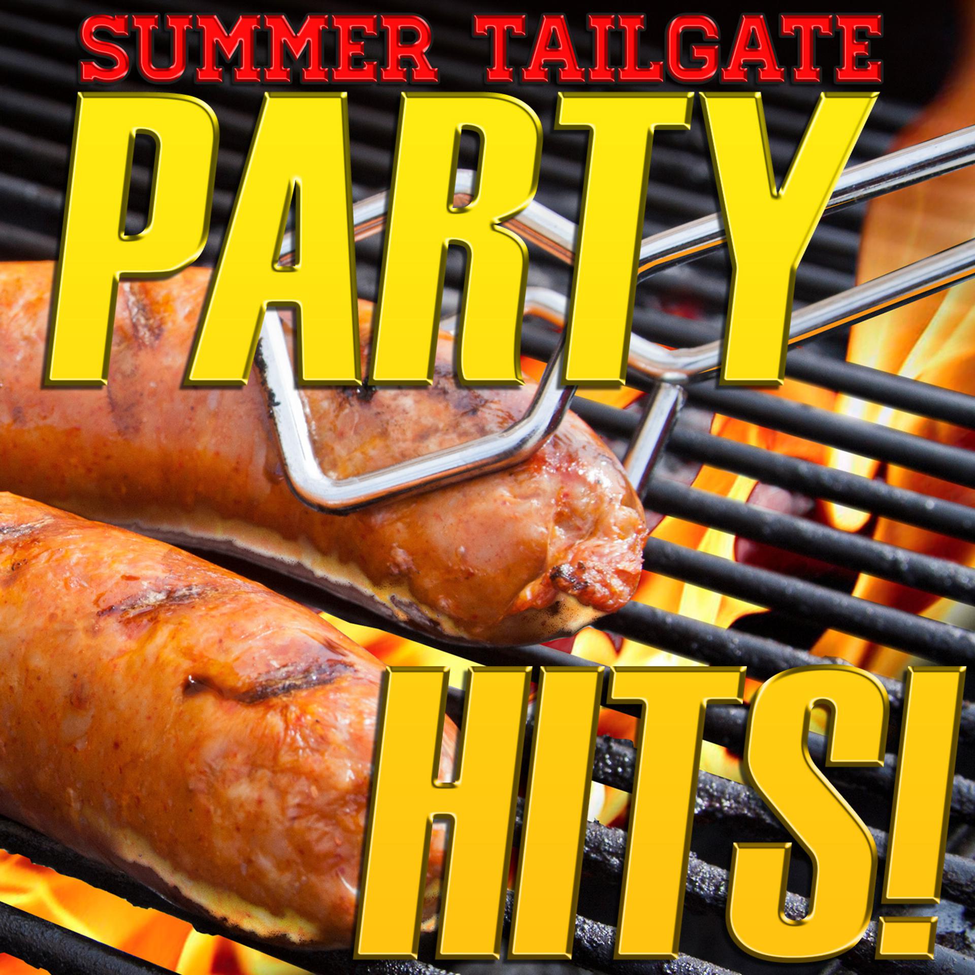 Постер альбома Summer Tailgate Party Hits!