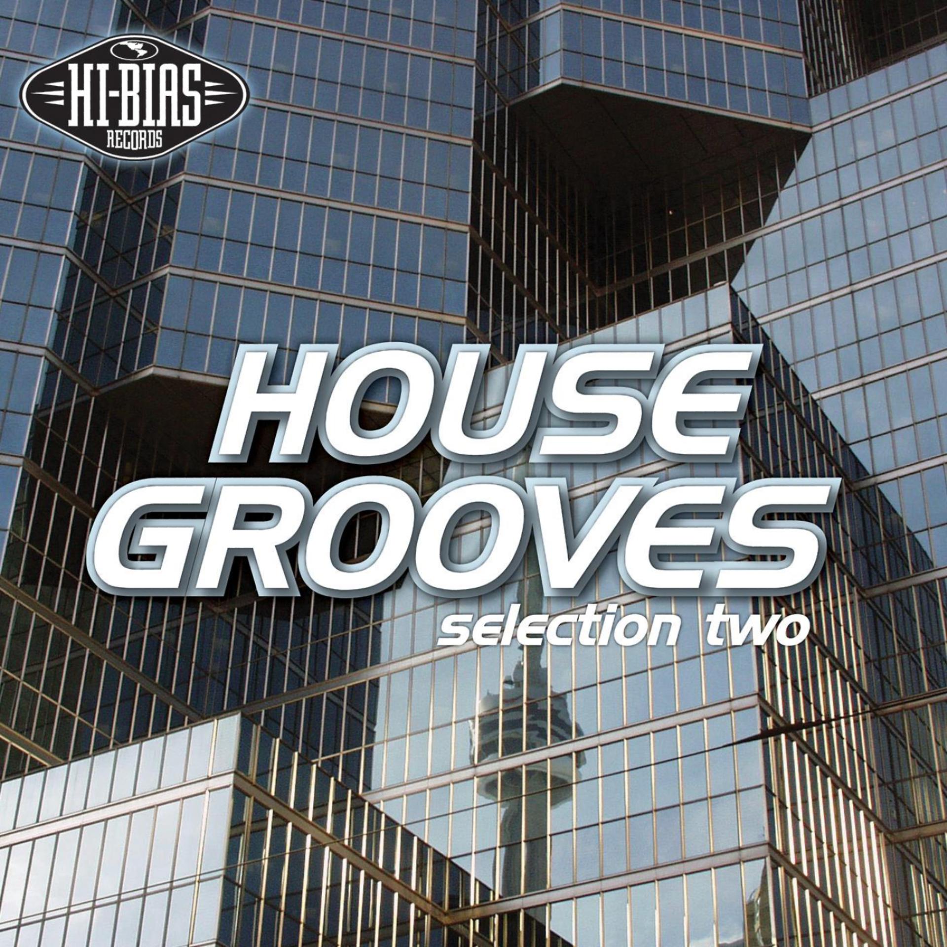 Постер альбома Hi-Bias: House Grooves 2
