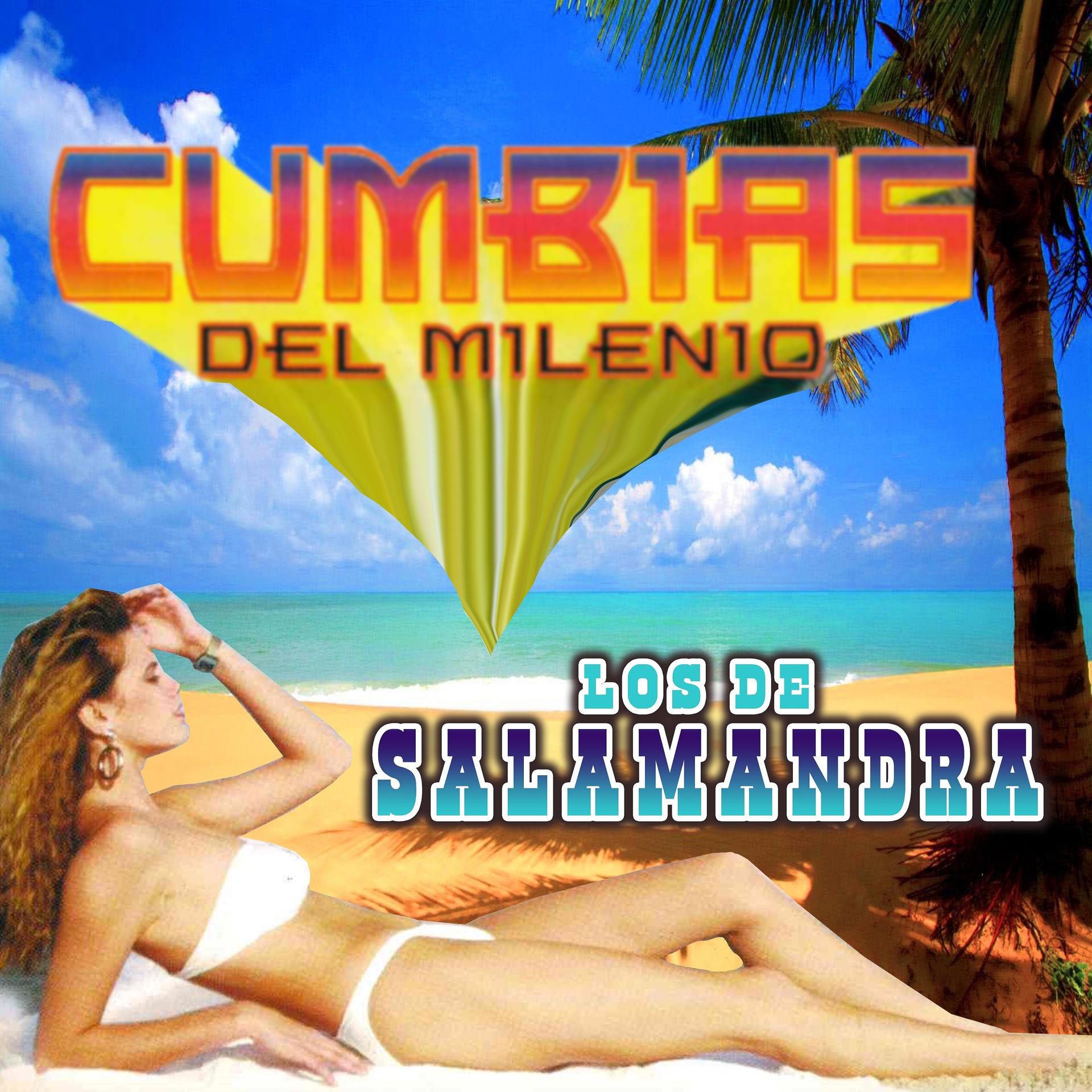 Постер альбома Cumbias del Milenio