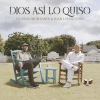 Постер альбома Dios Así Lo Quiso (Single)