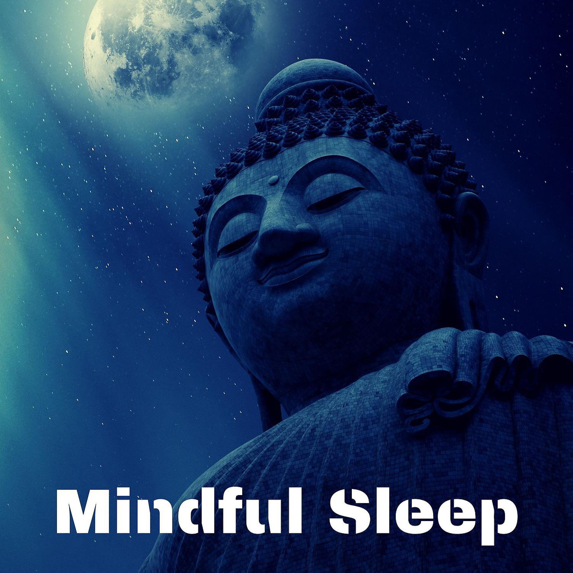 Постер альбома Mindful Sleep: Reduce Stress and Calm Mind, Natural Healing Sleep Music
