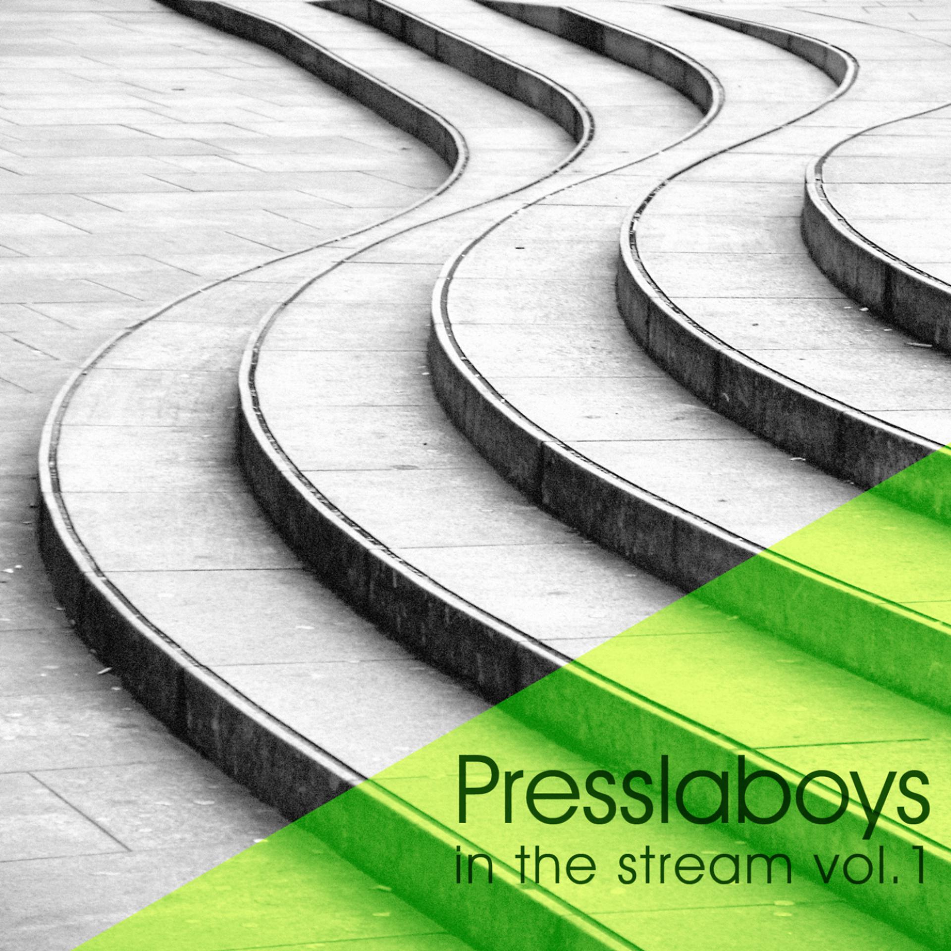 Постер альбома Presslaboys in the Stream, Vol.1