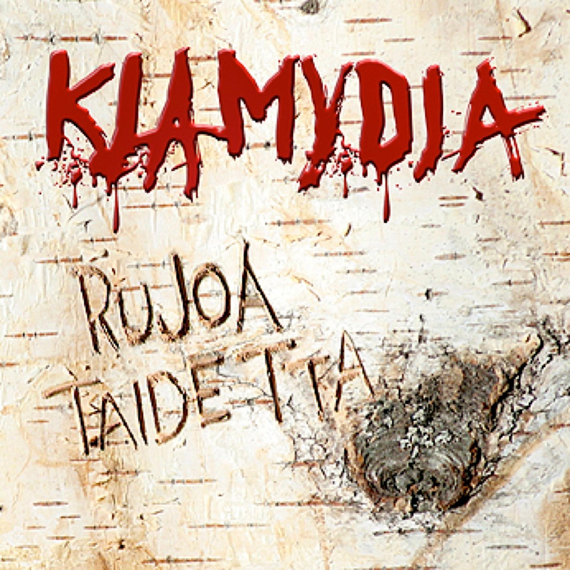 Постер альбома Rujoa taidetta