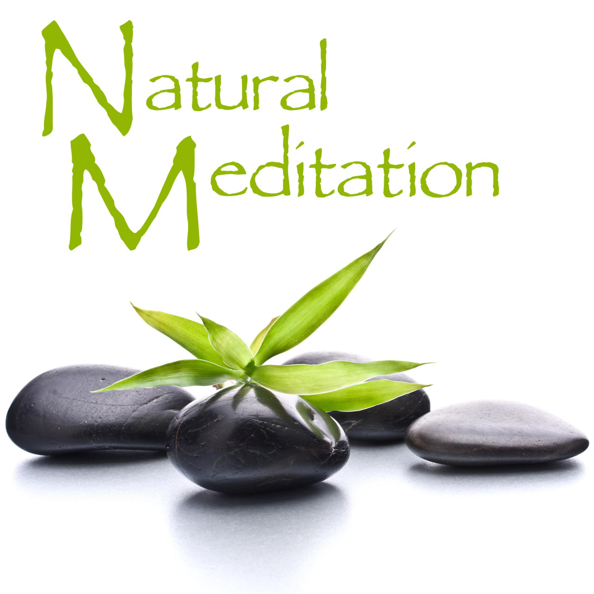 Постер альбома Natural Meditation: Peaceful Music for Yoga, Meditation & Relaxation