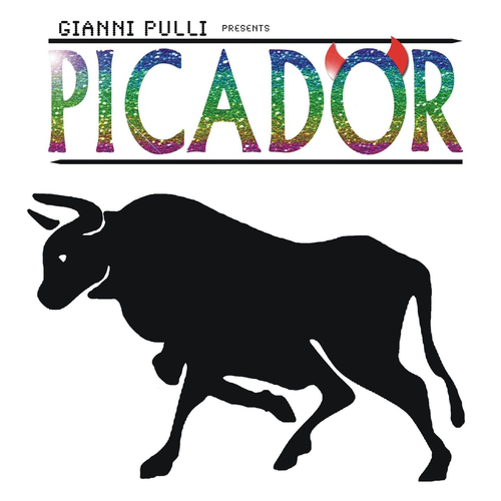 Постер альбома Picador