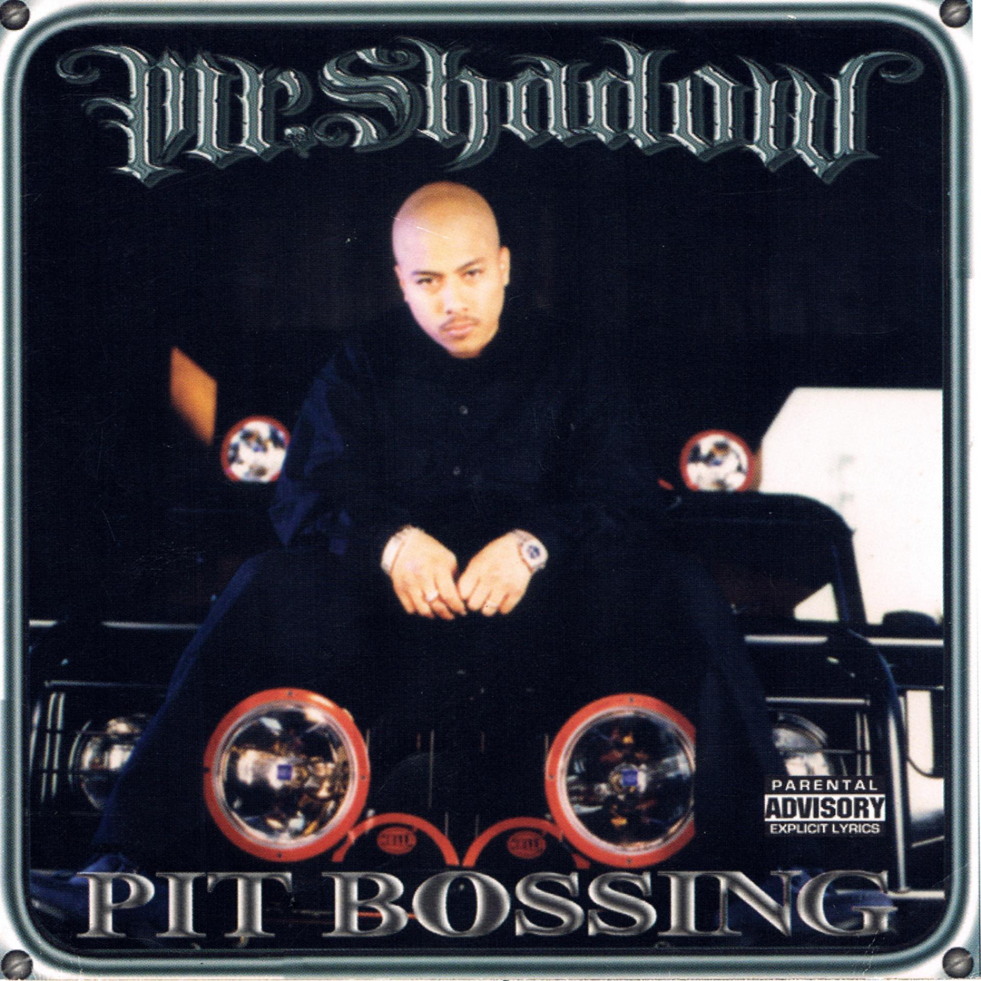 Постер к треку Mr. Shadow, Ambrosia, Krook, Diamonique, Knvrs - Hoes Up