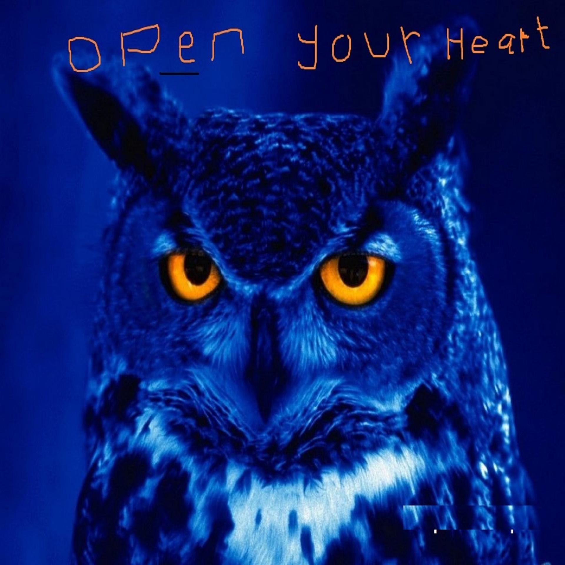Постер альбома Open Your Heart