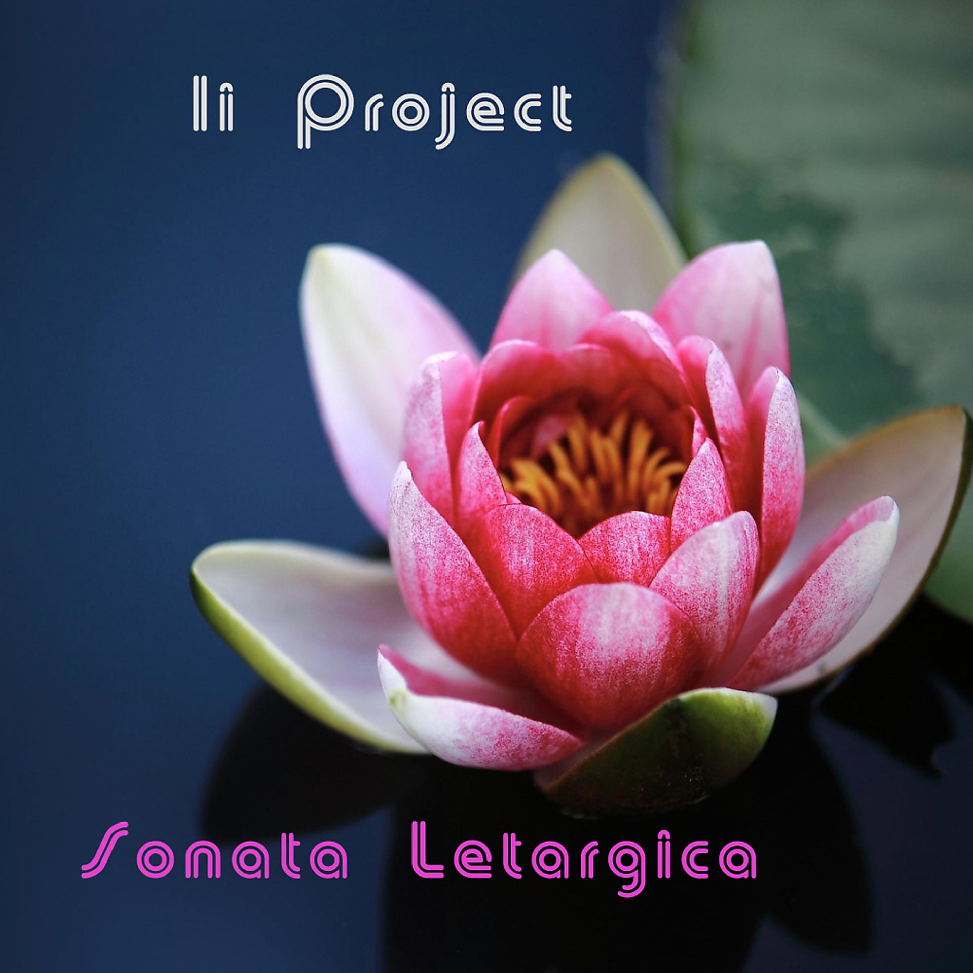 Постер альбома Sonata Letargica