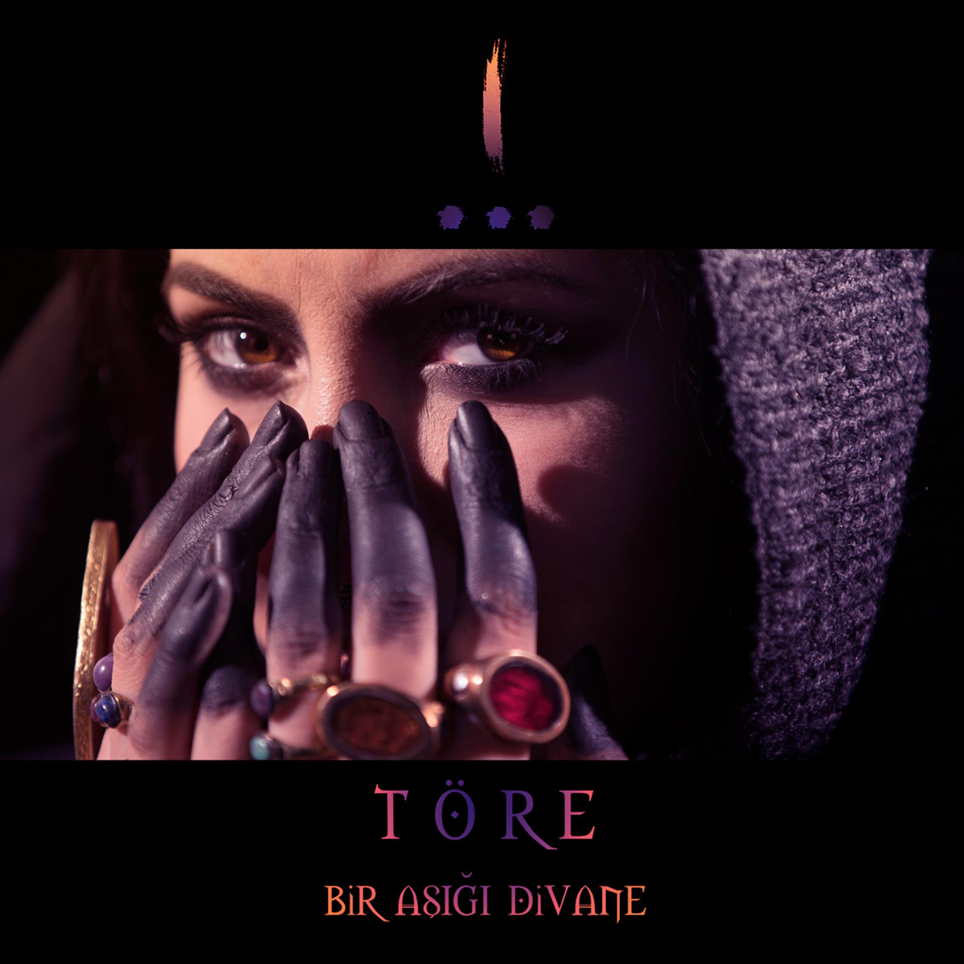 Постер альбома Bir Aşığı Divane