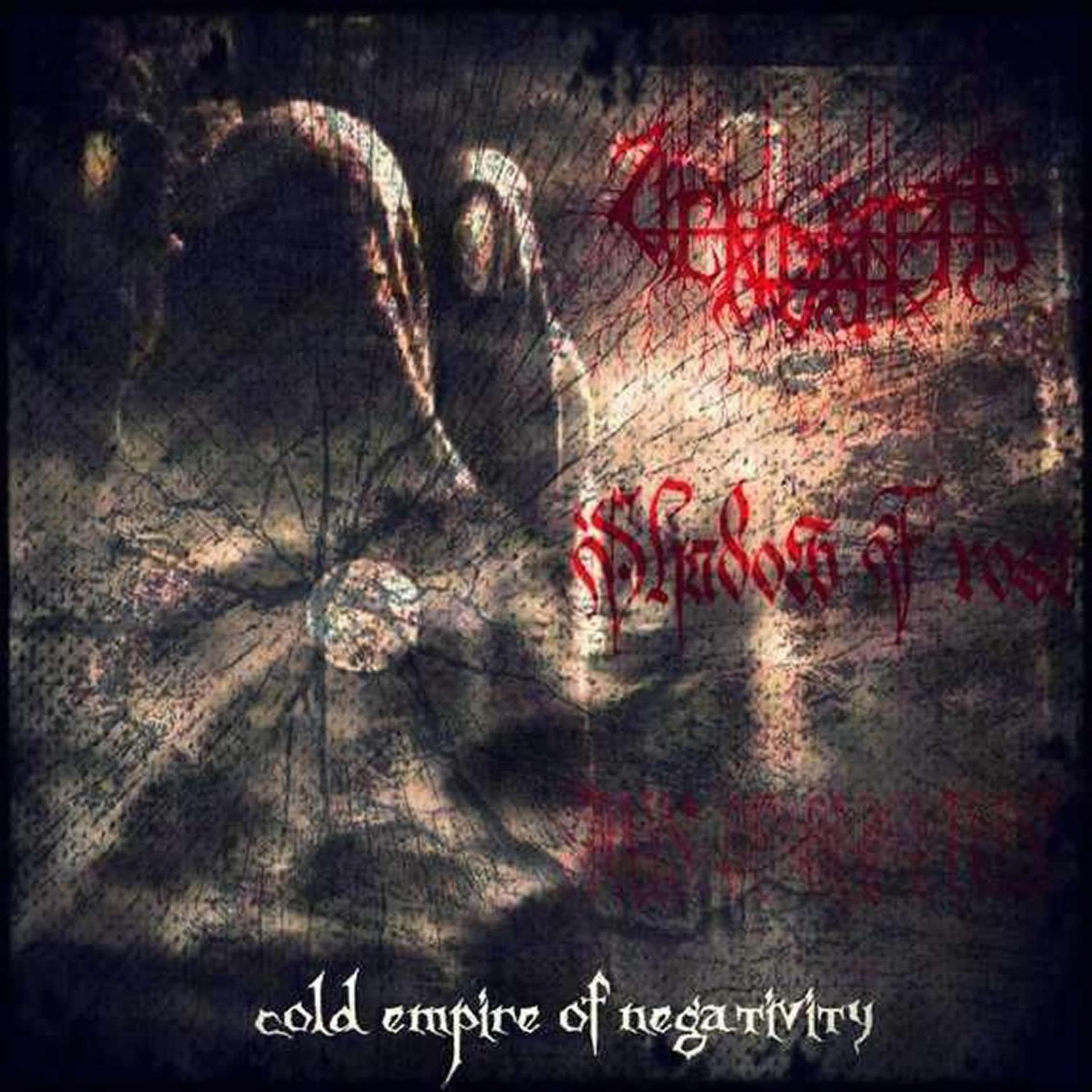 Постер альбома Cold Empire of Negativity