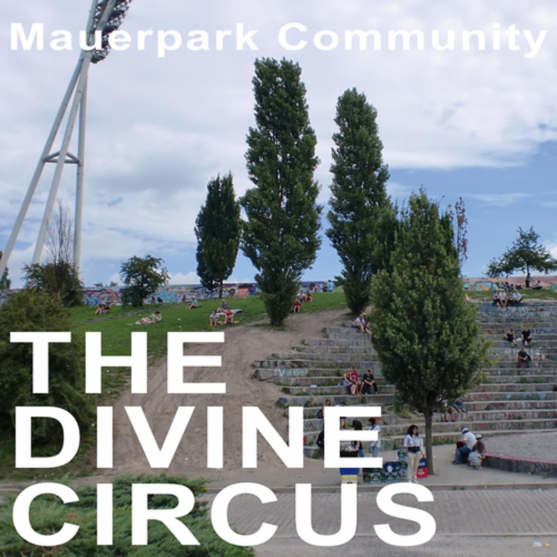 Постер альбома The Divine Circus
