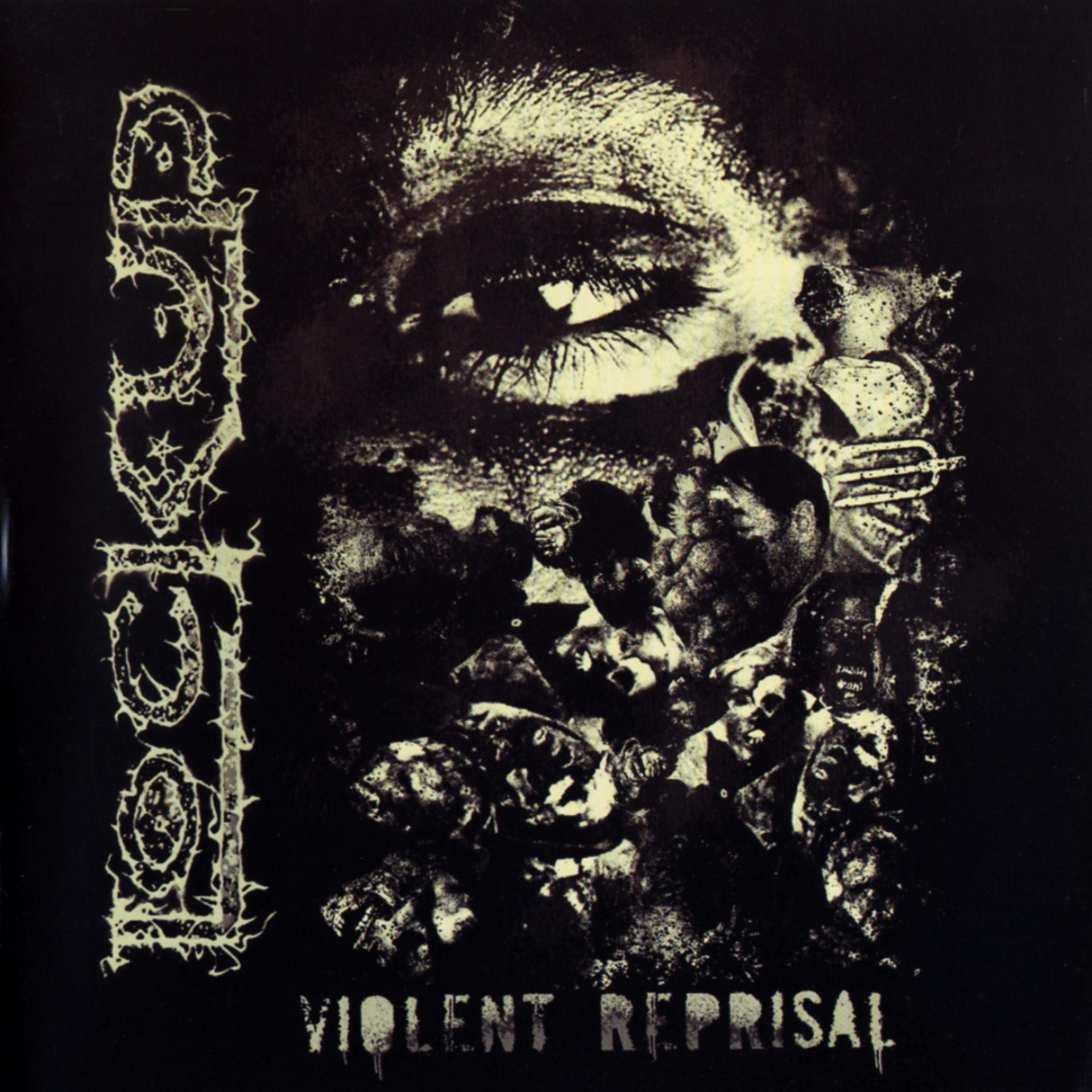 Постер альбома Violent Reprisal