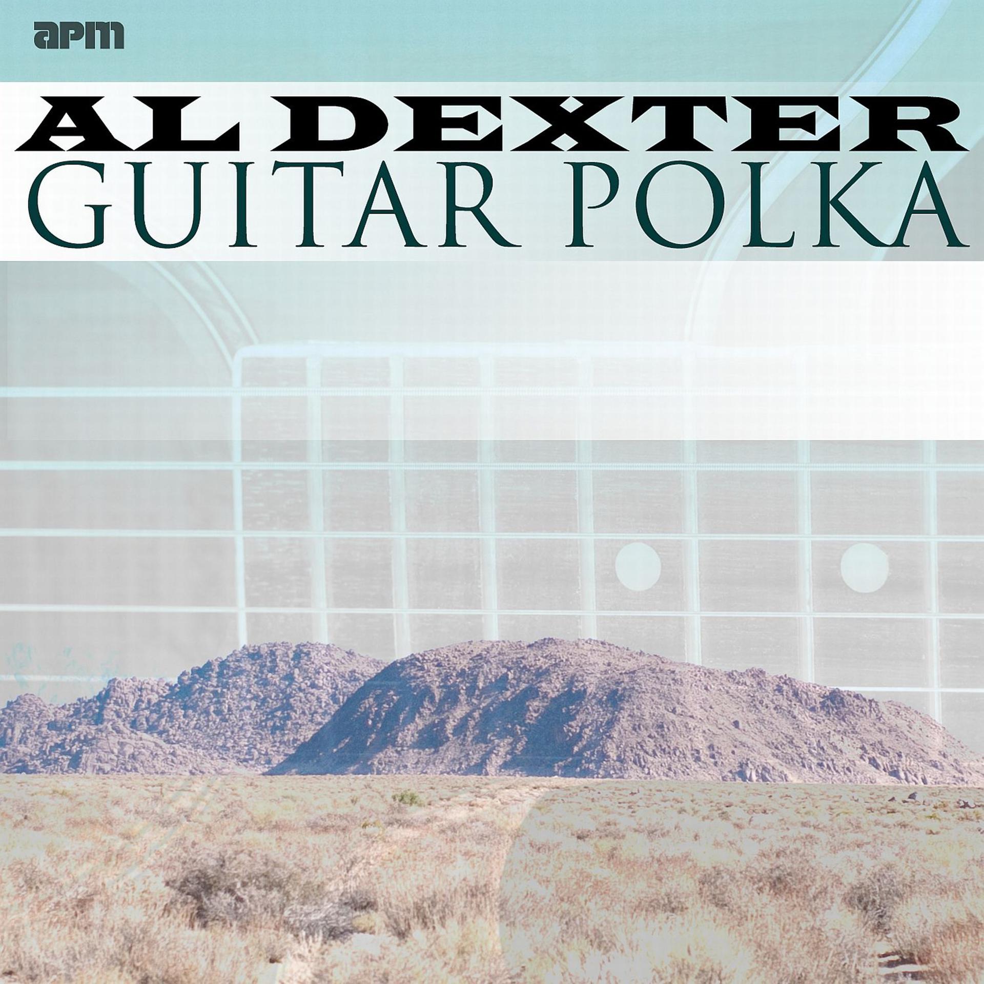 Постер альбома Guitar Polka