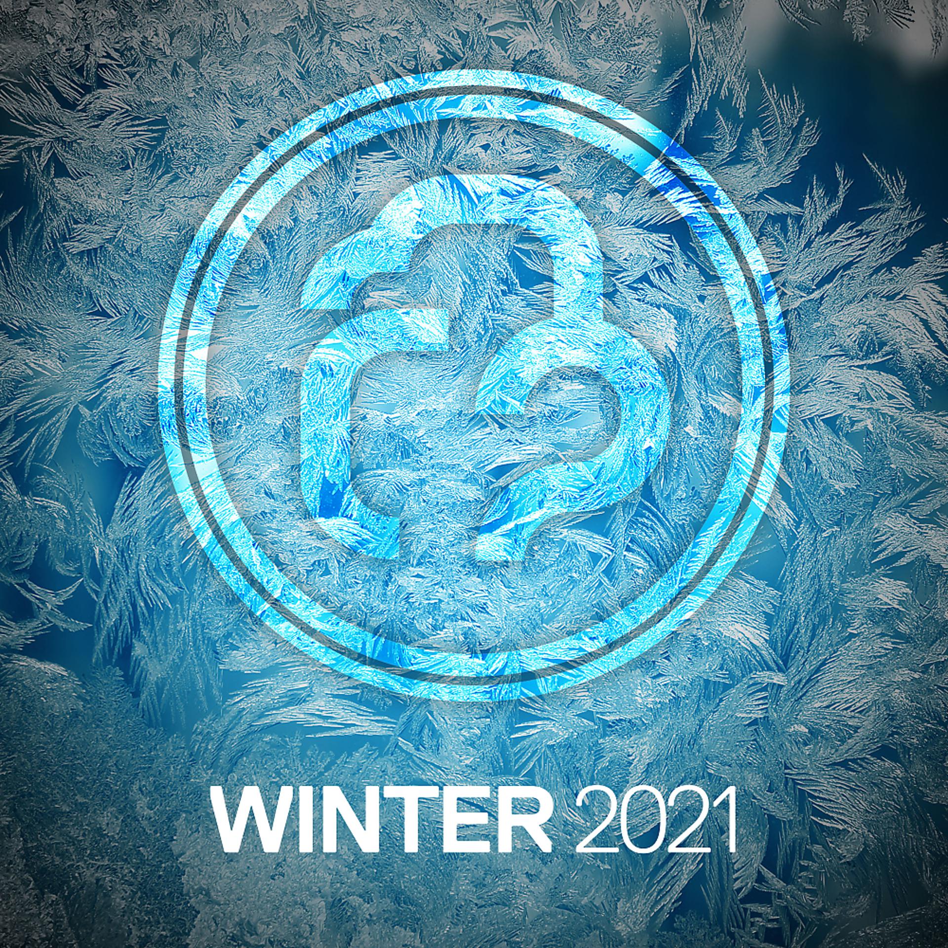 Постер альбома Infrasonic Winter Selection 2021