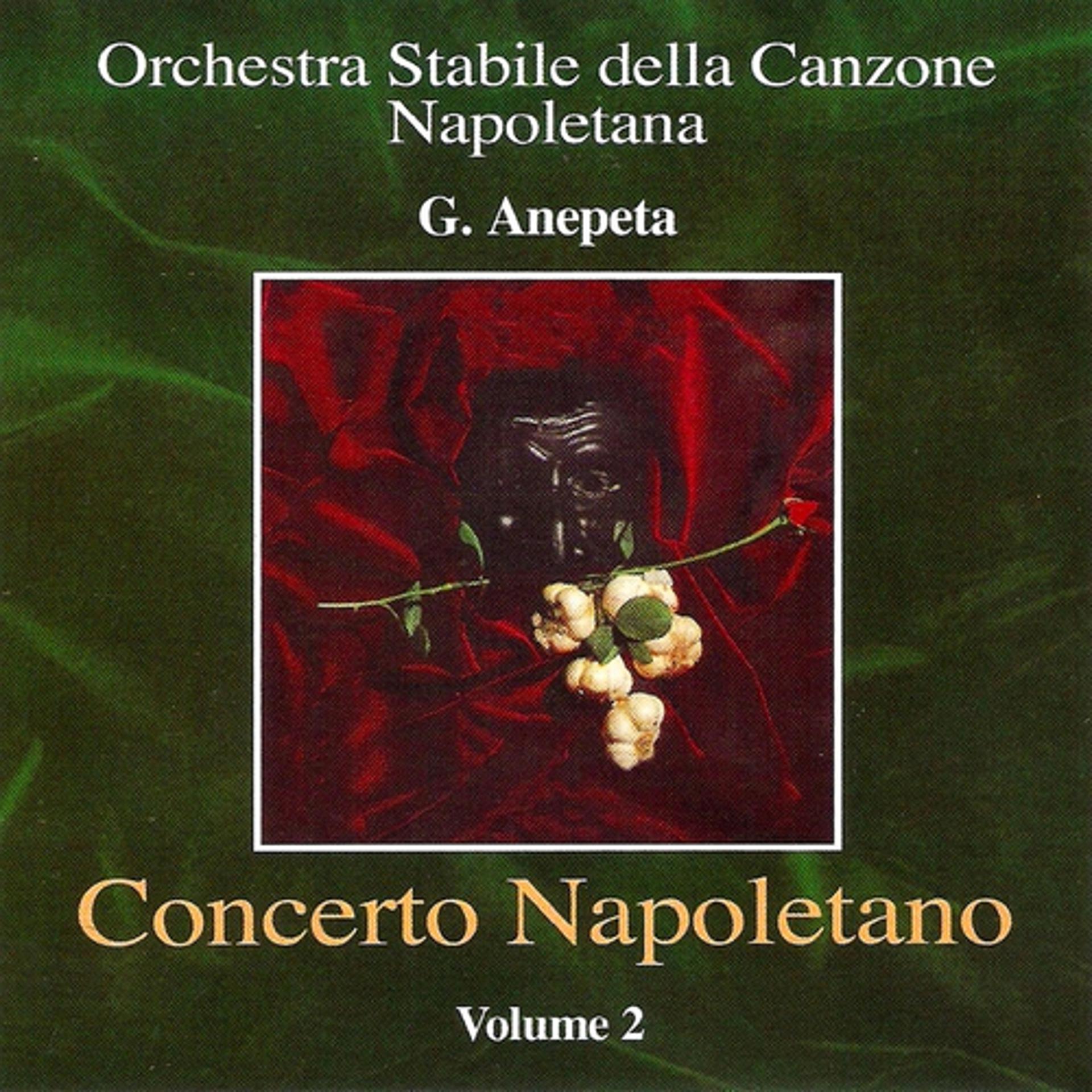 Постер альбома Concerto napoletano, vol. 2 (Best Neapolitan Classical Songs)