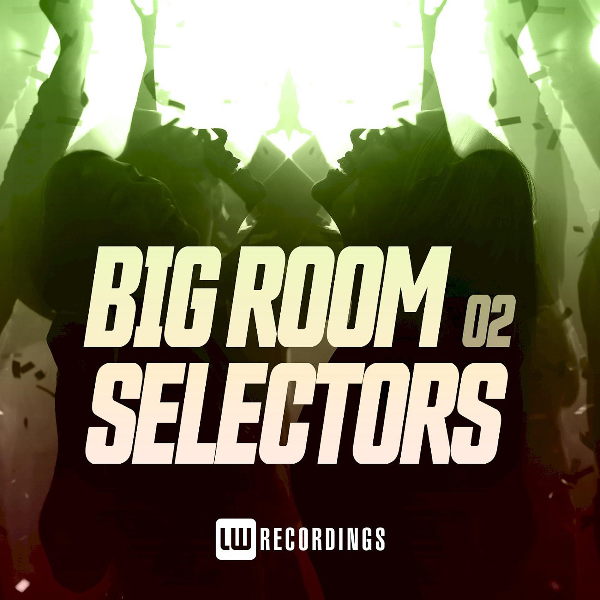 Постер альбома Big Room Selectors, 02