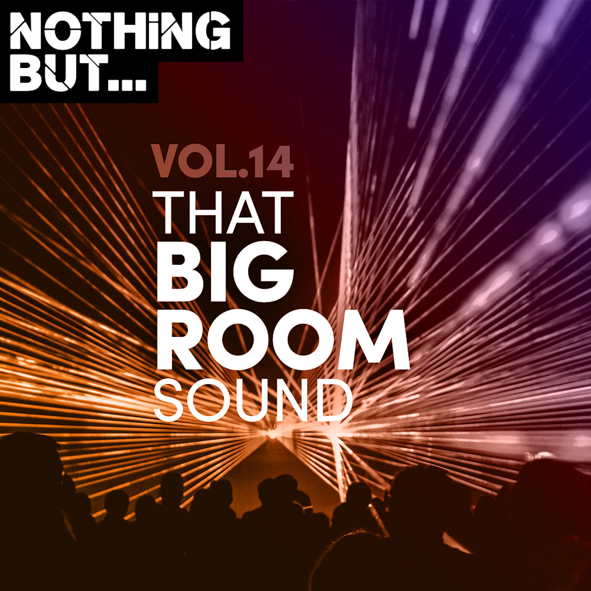 Постер альбома Nothing But... That Big Room Sound, Vol. 14