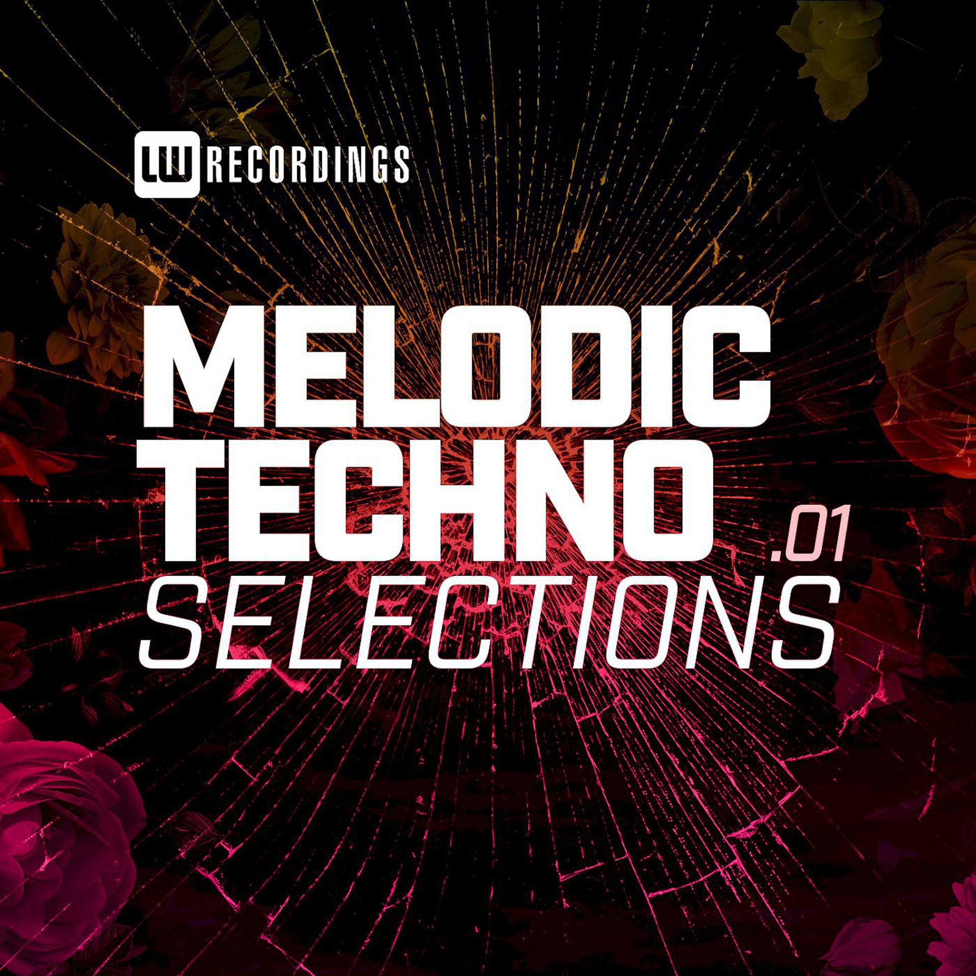 Постер альбома Melodic Techno Selections, Vol. 01