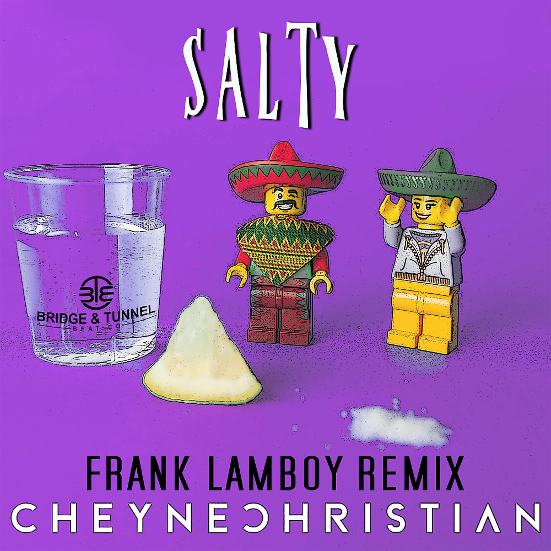 Постер альбома Salty (Frank Lamboy Remix)