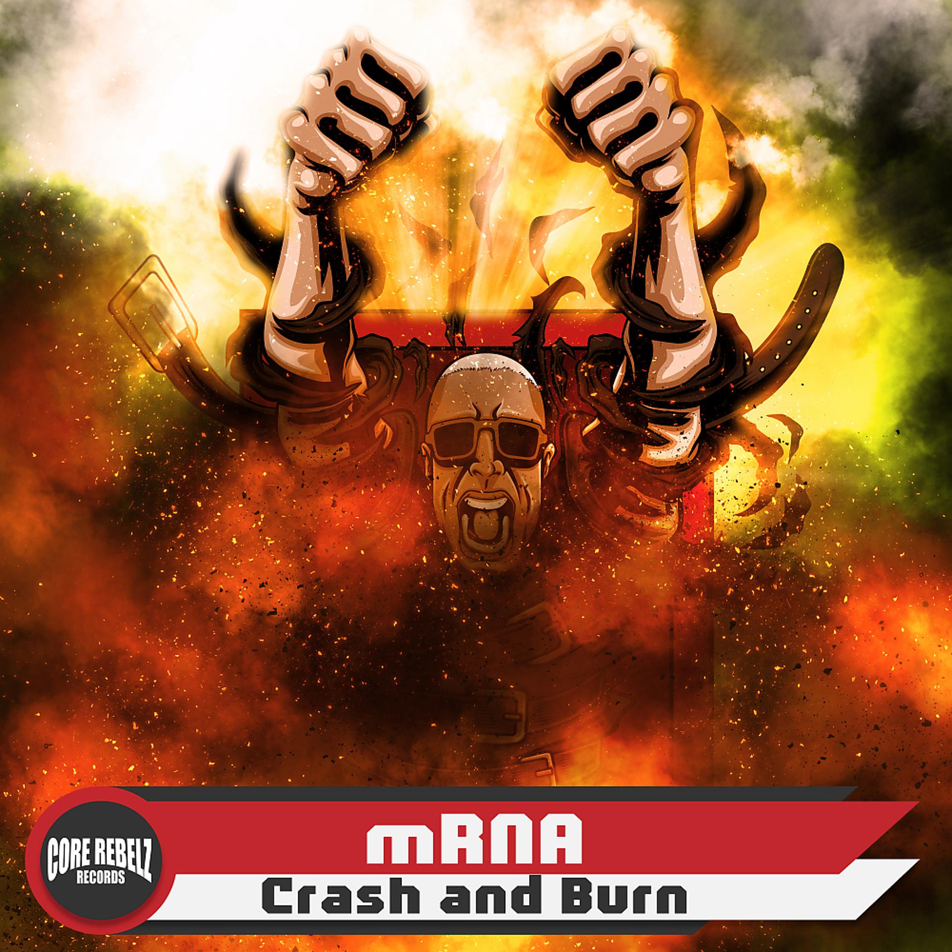Постер альбома Crash And Burn
