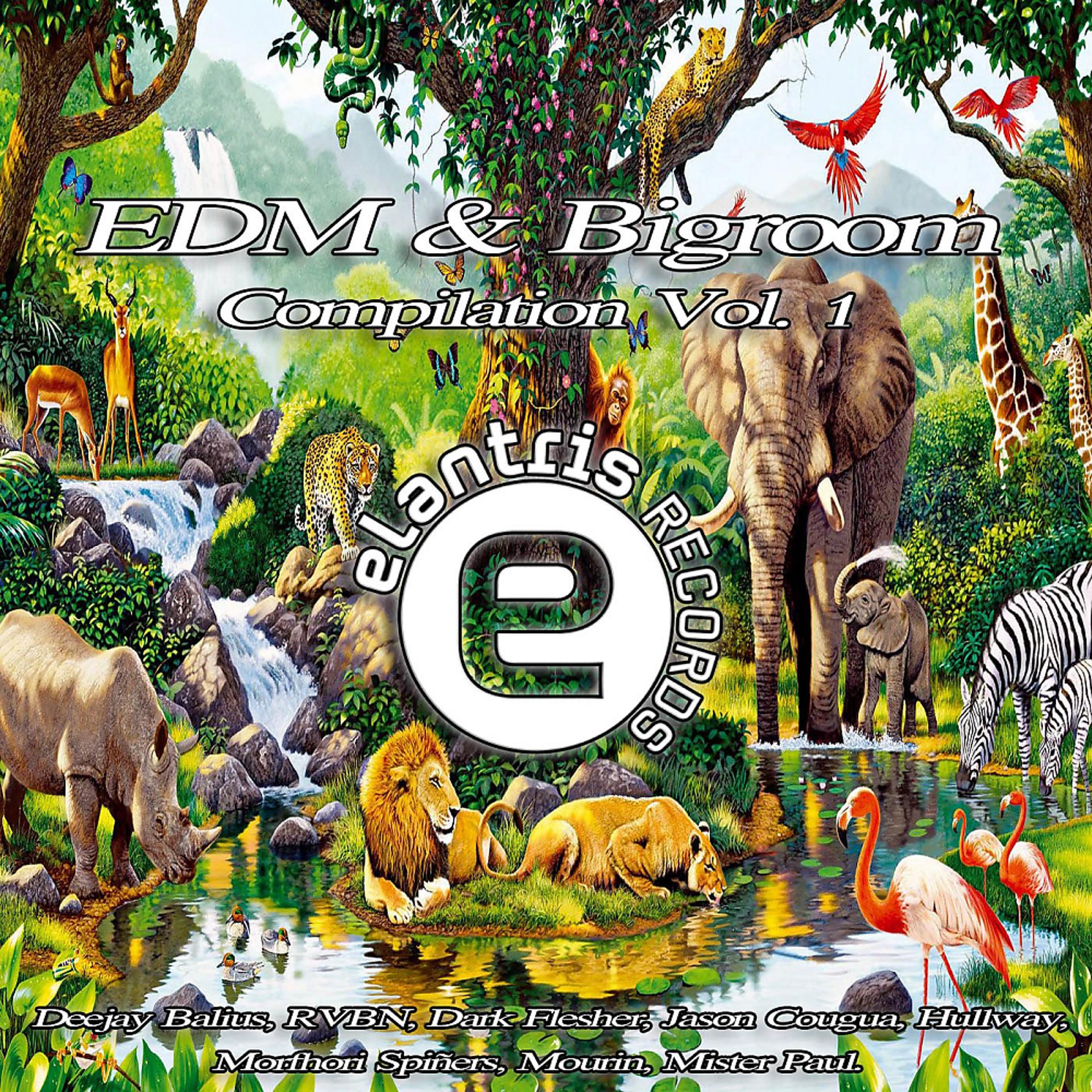 Постер альбома EDM & Bigroom Compilation Vol. 1