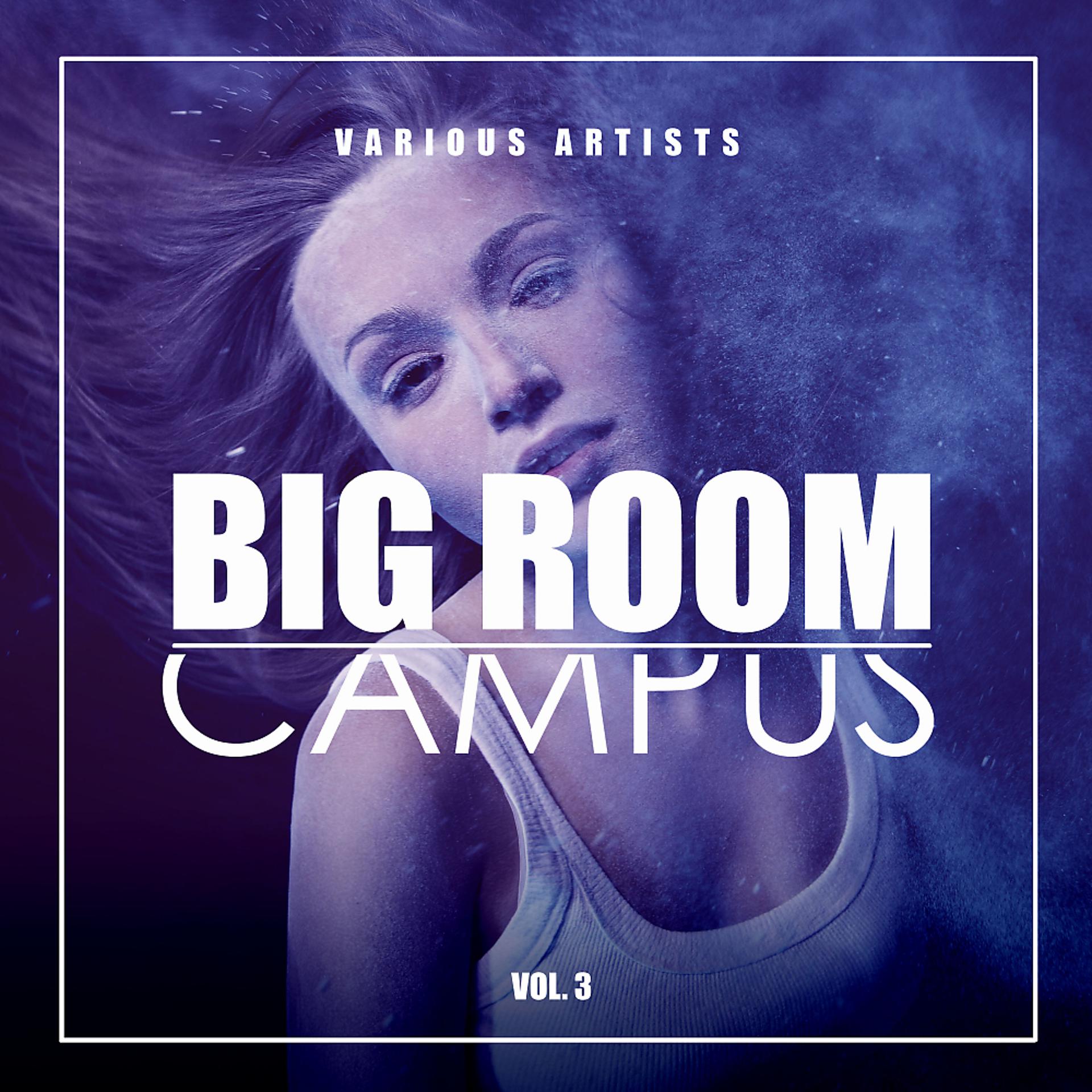 Постер альбома Big Room Campus, Vol. 3