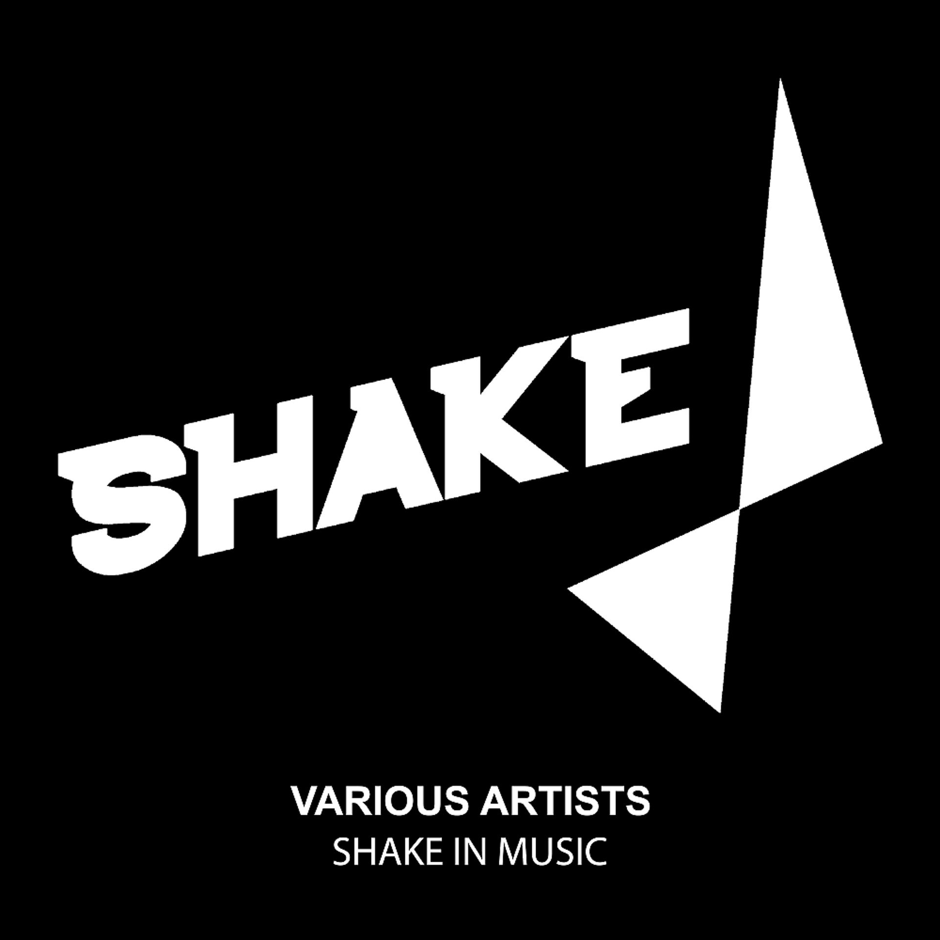 Постер альбома Shake In Music