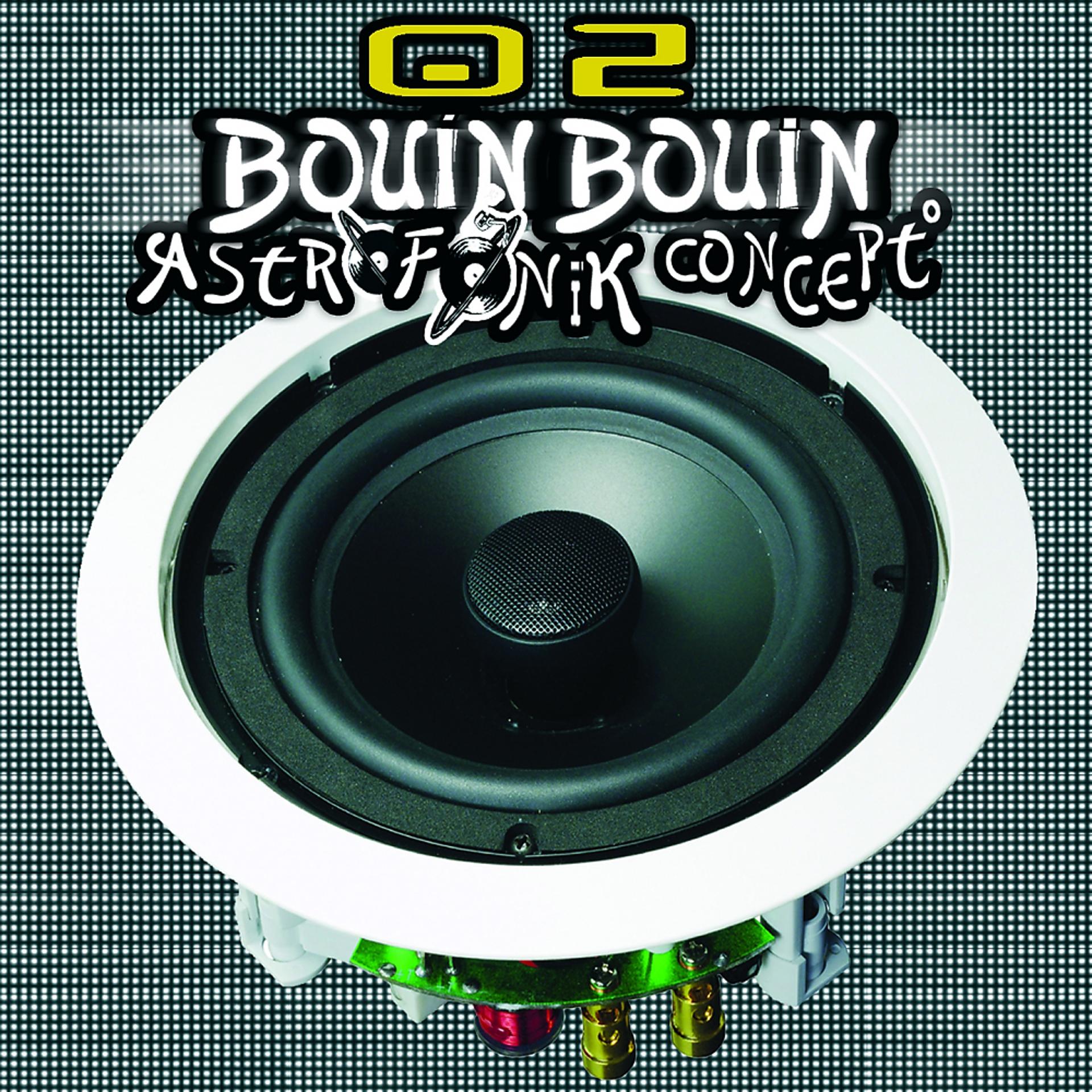 Постер альбома Bouin Bouin 02