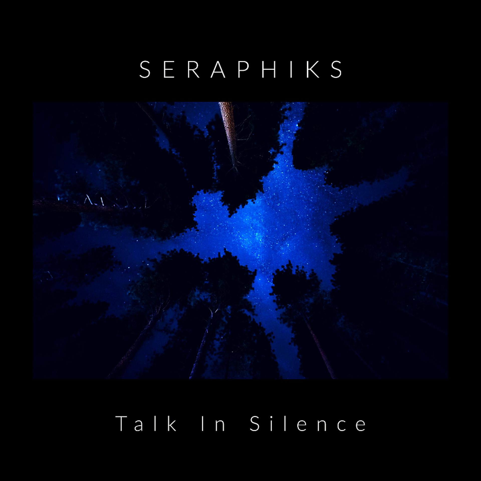 Постер альбома Talk In Silence