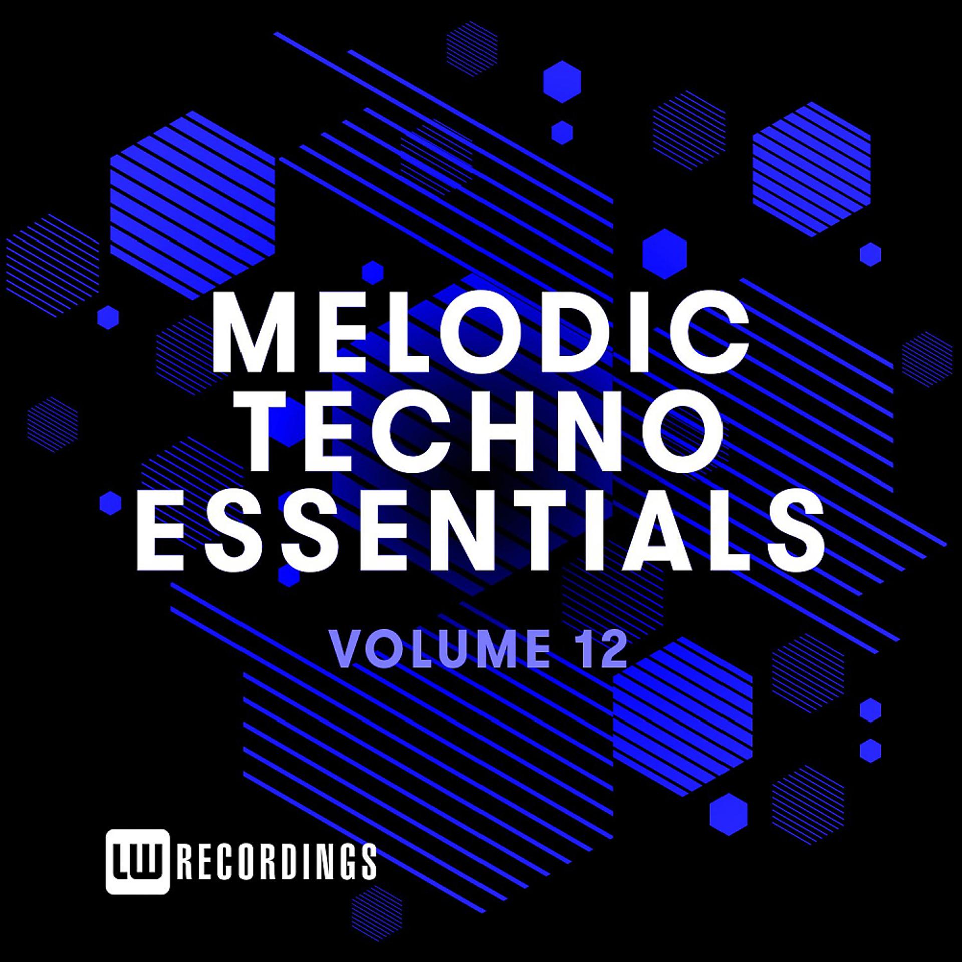 Постер альбома Melodic Techno Essentials, Vol. 12