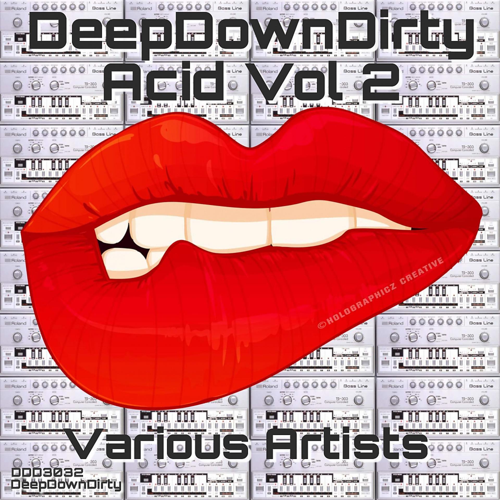 Постер альбома DeepDownDirty Acid, Vol. 2