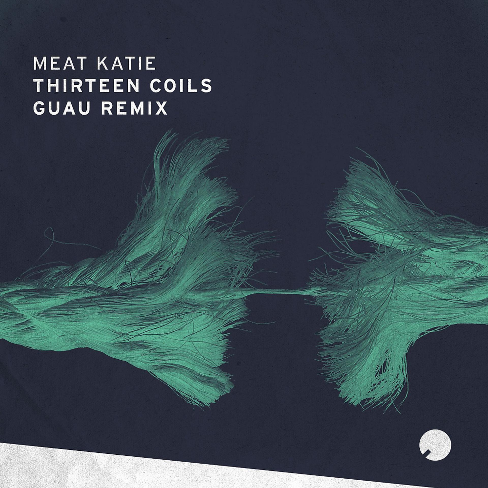 Постер альбома Thirteen Coils (Guau Remix)