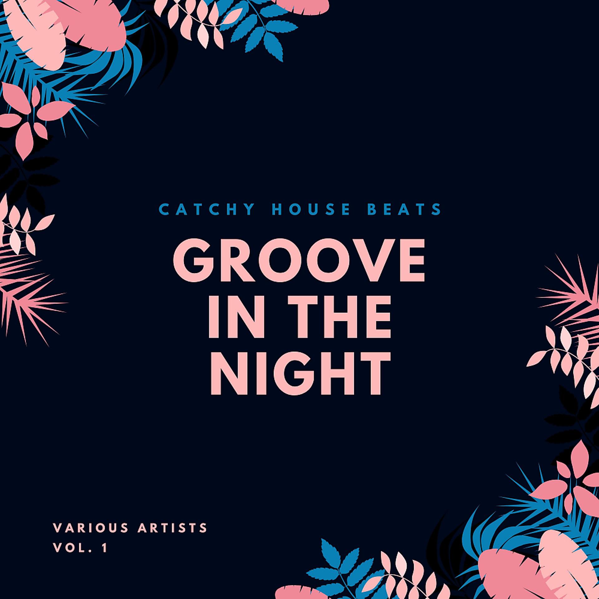 Постер альбома Groove In The Night (Catchy House Beats), Vol. 1